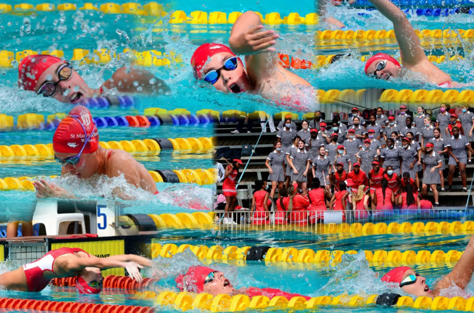 SS News swimming 1803 2