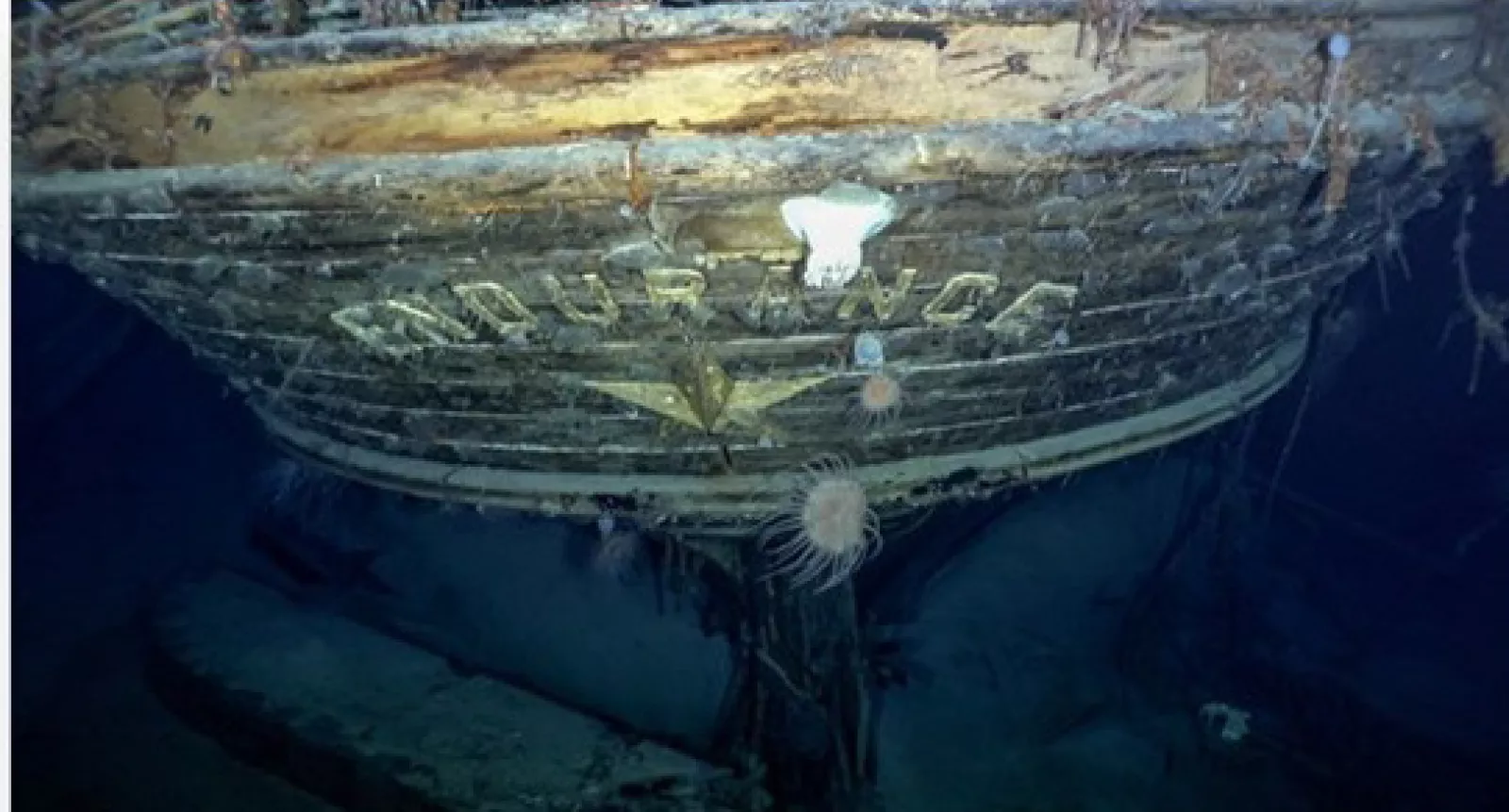 25 March JJ front page