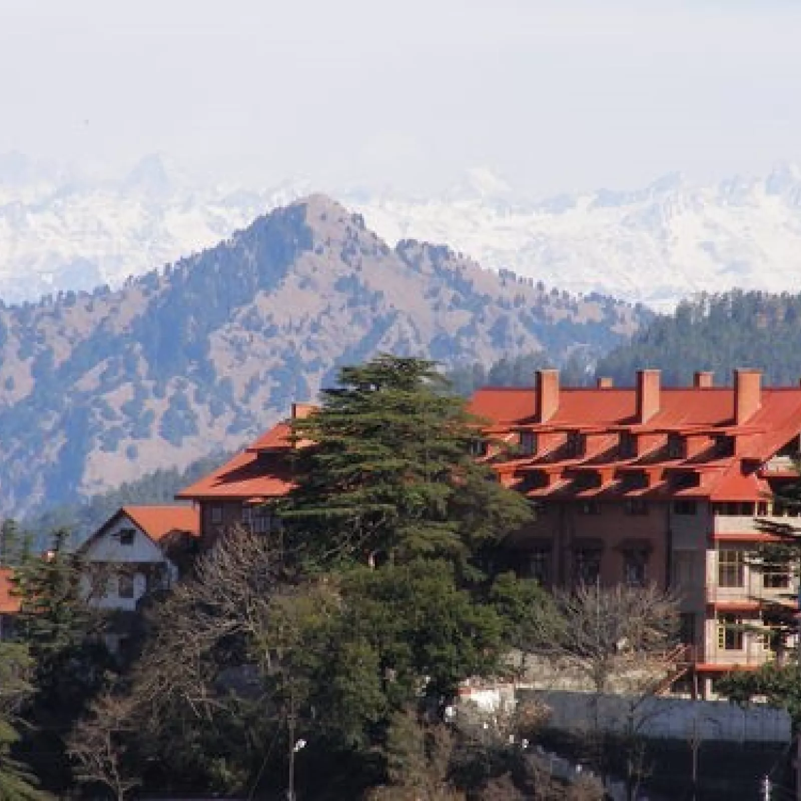 Auckland house shimla