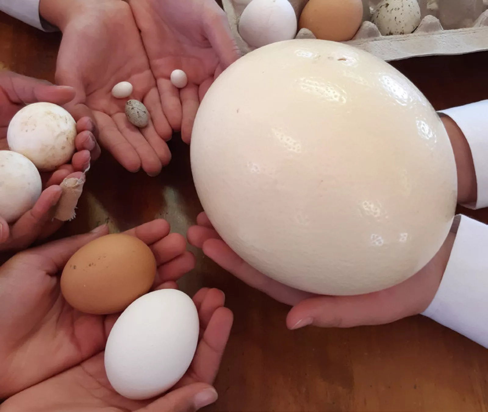 Grade 4 news pic 1 17 June