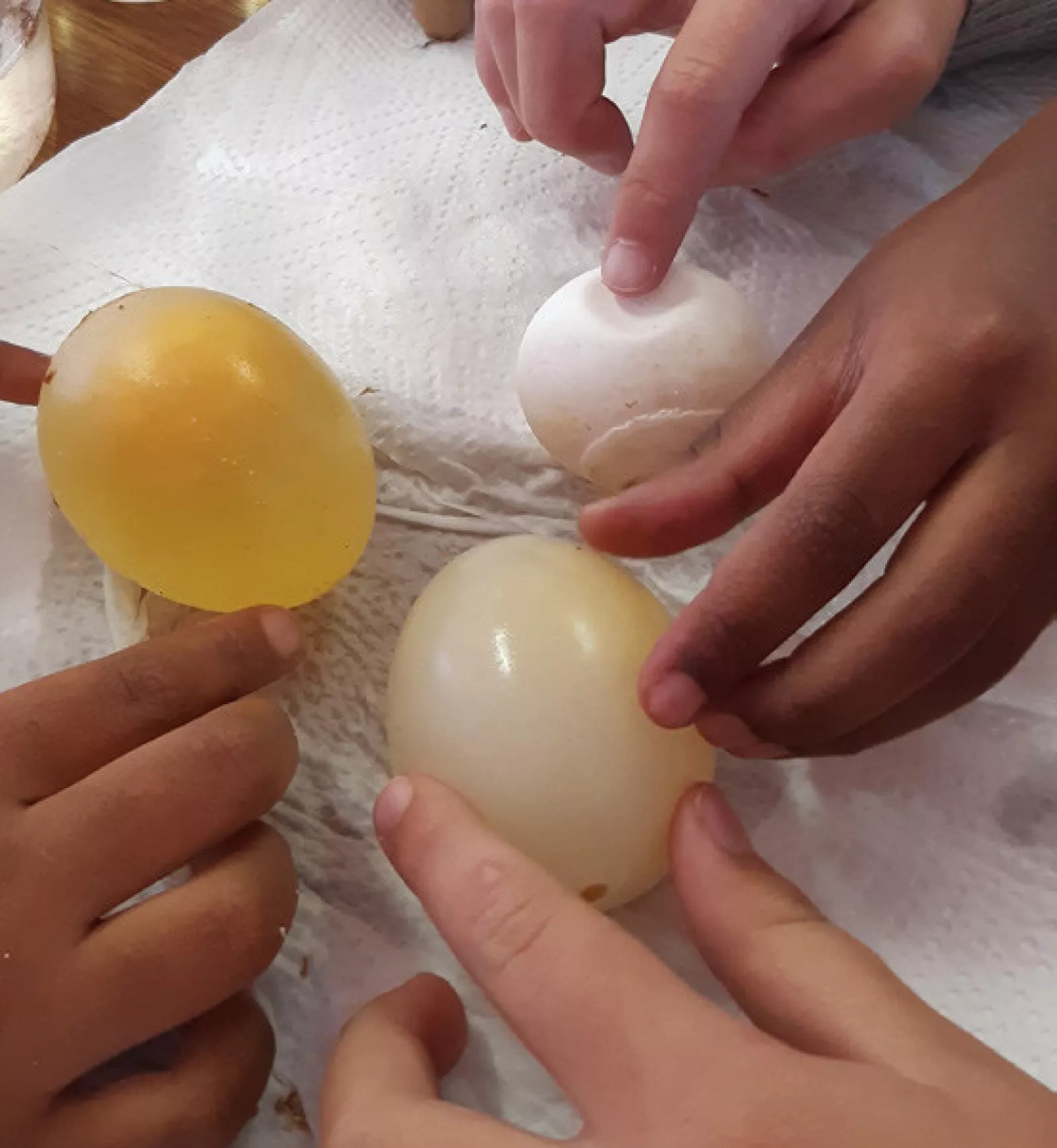 Grade 4 news pic 2 17 June