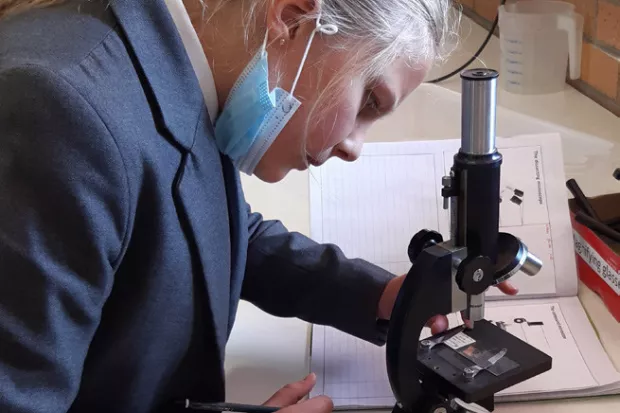 Grade 5 news 8 july 1