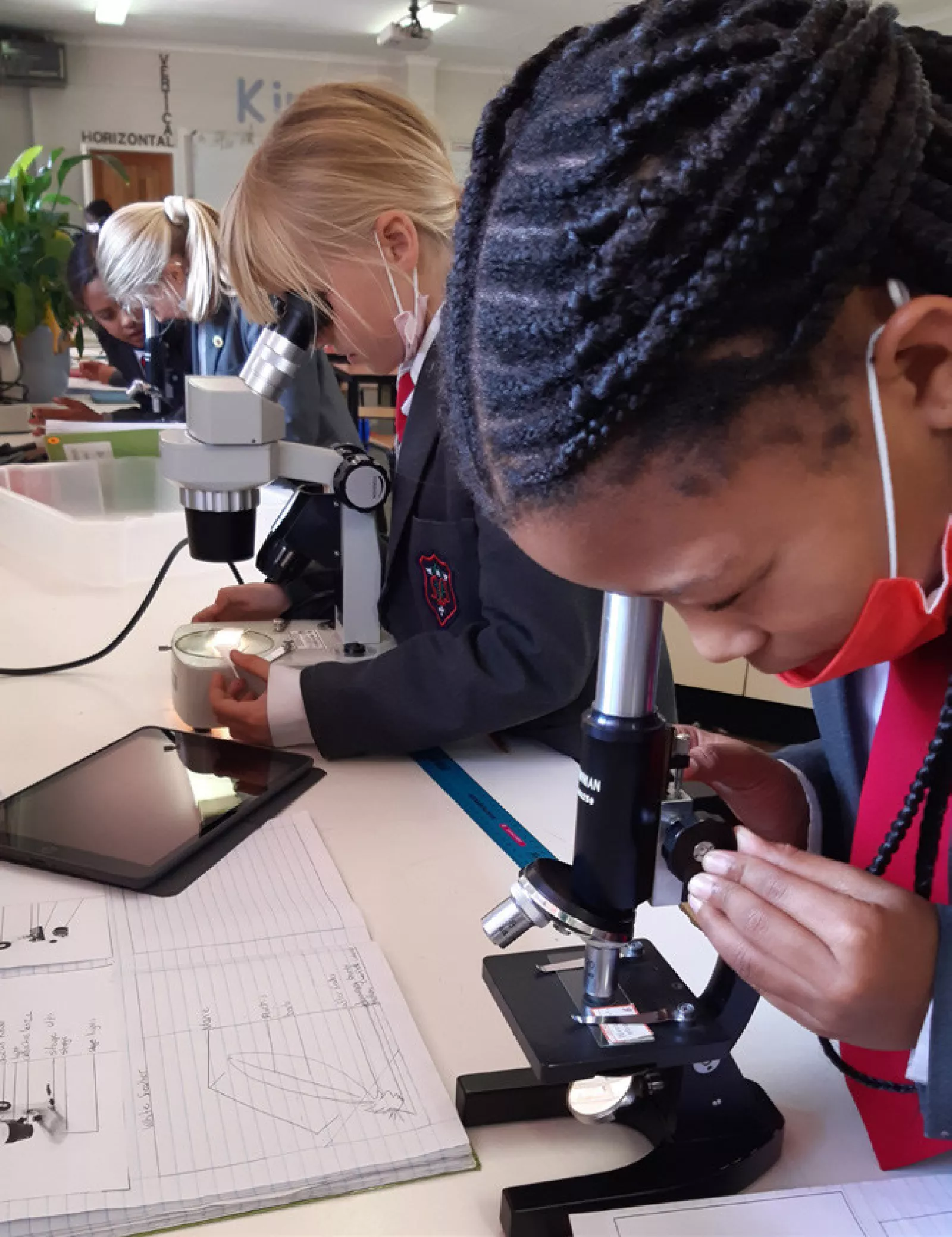 Grade 5 news 8 july 2