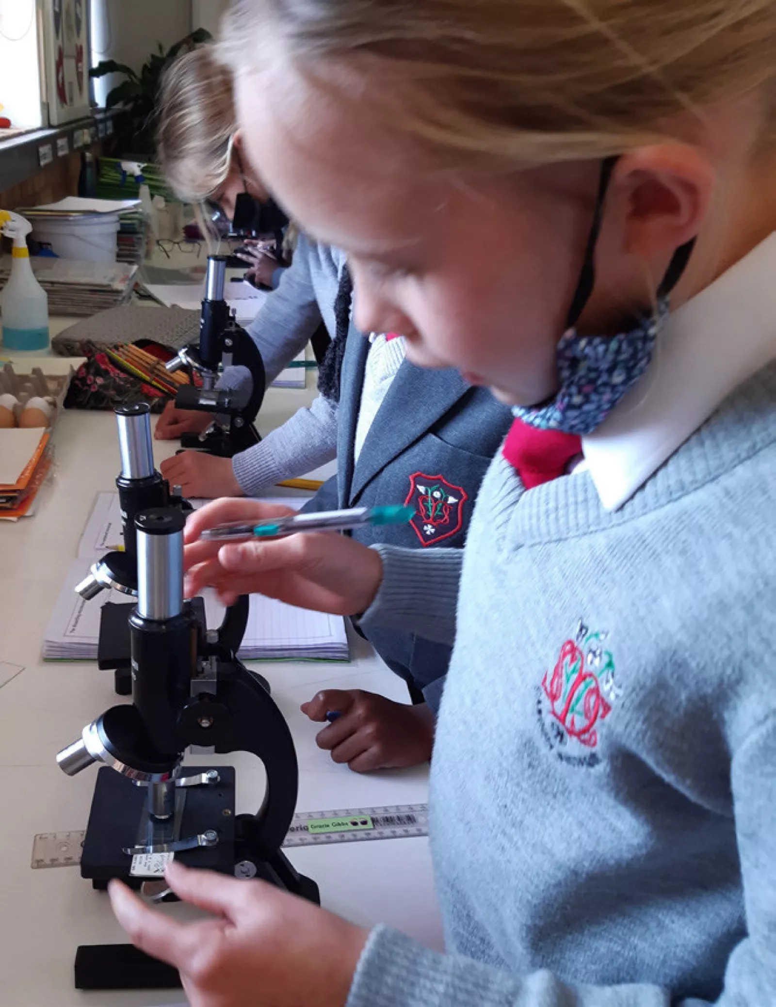 Grade 5 news 8 july 3