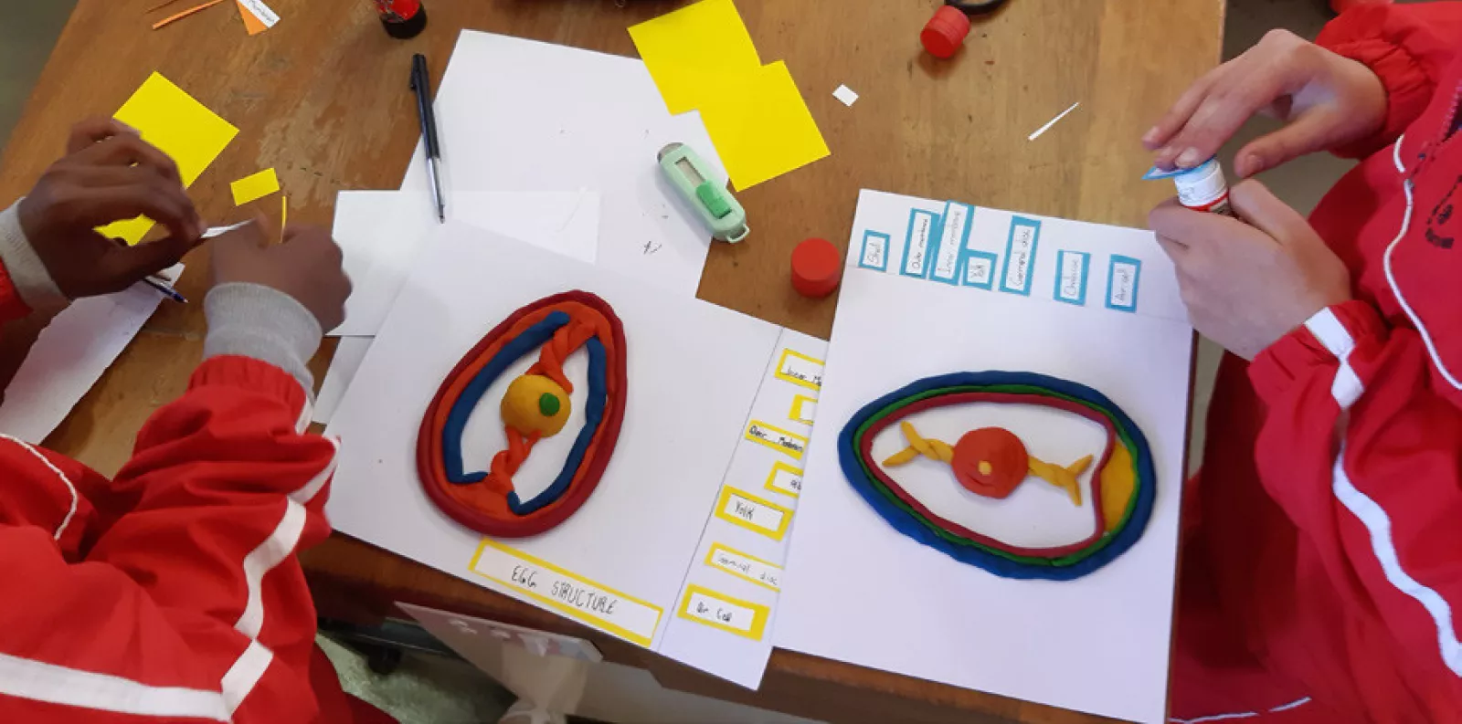 Grade 6 news 8 july 3