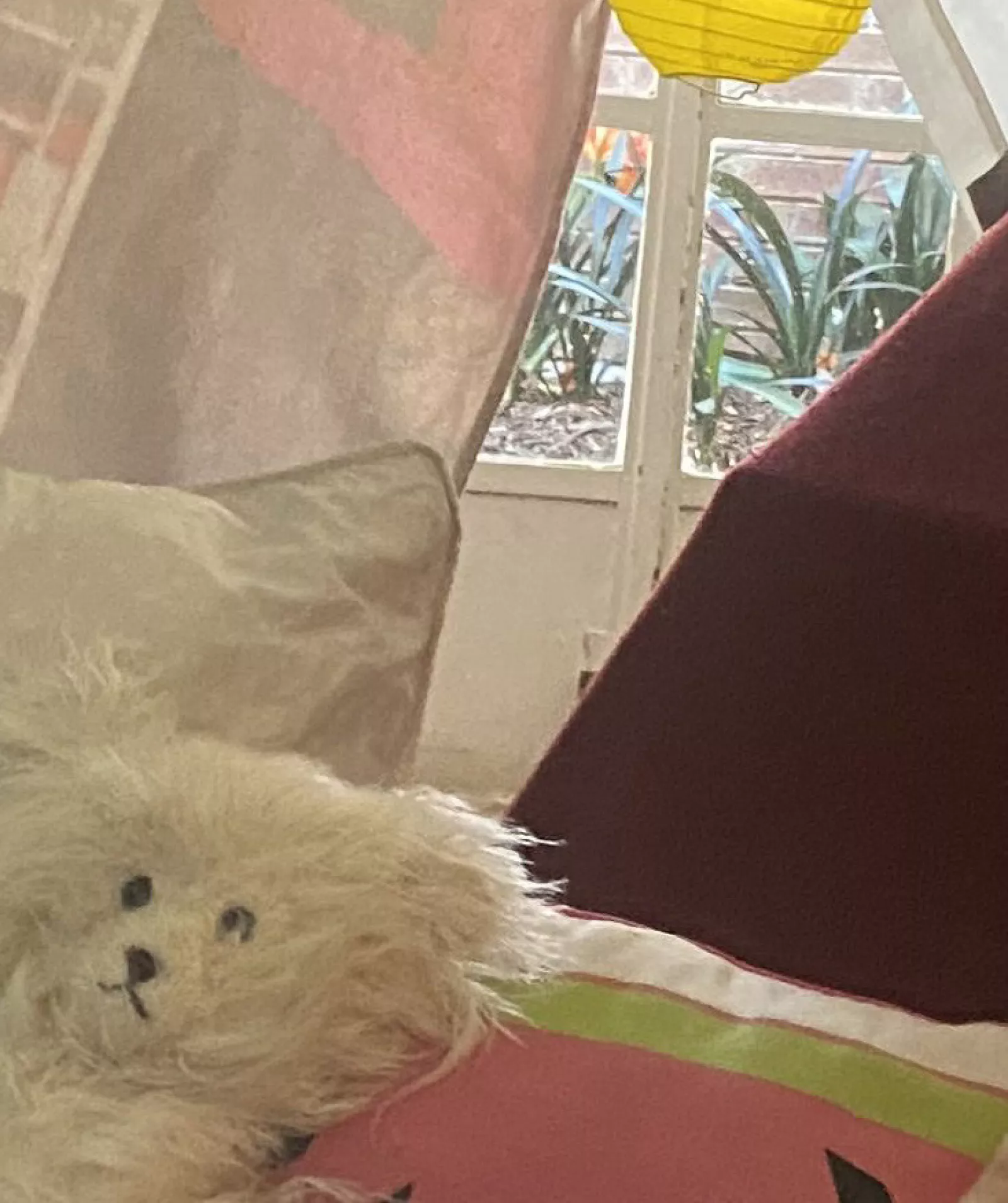 Self esteam 29 July 2