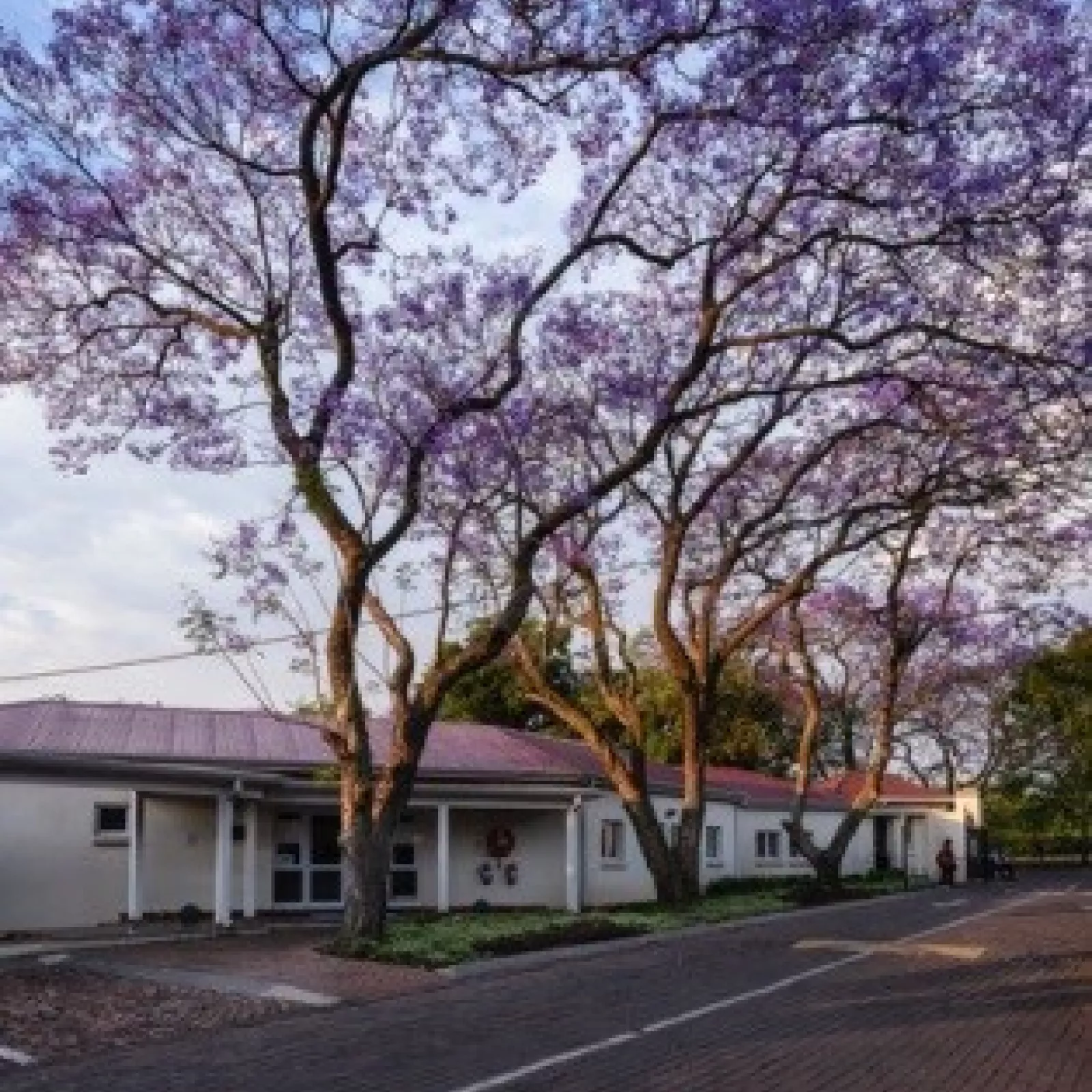 The pastoral care centre