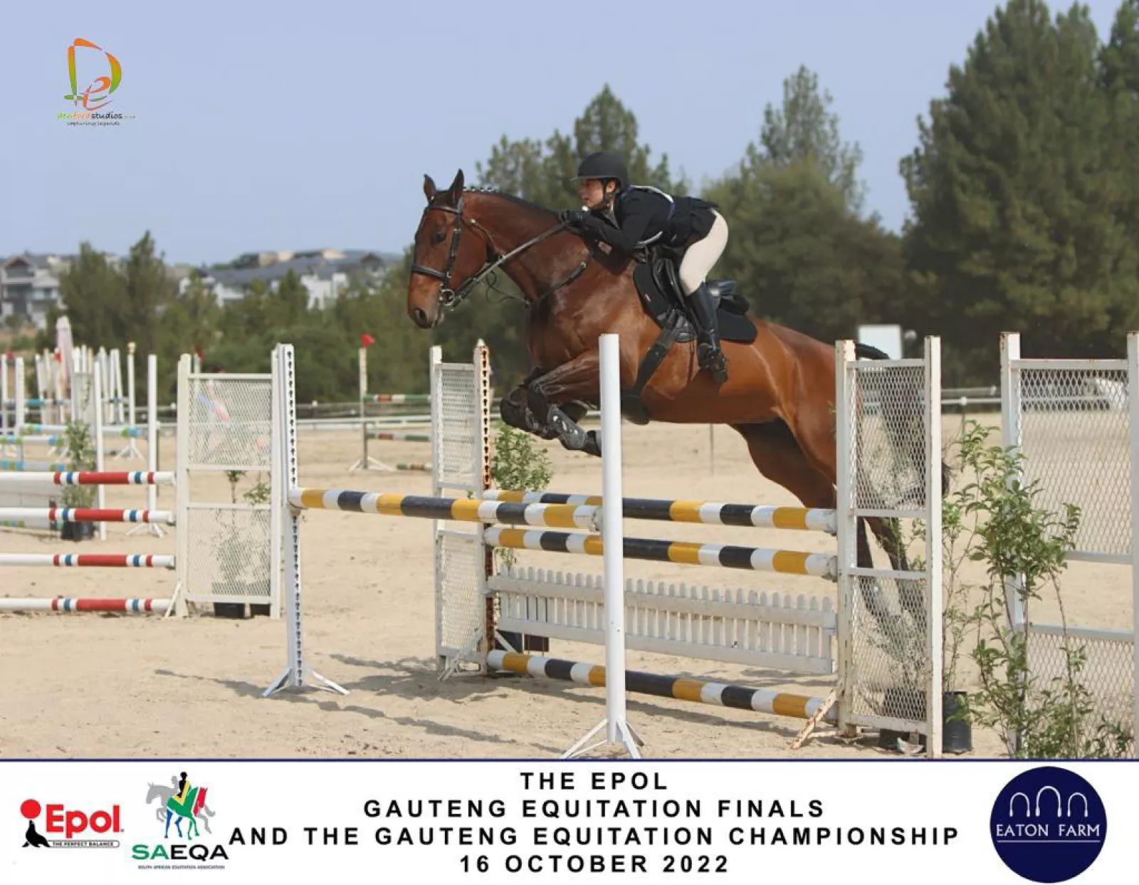 20 October equestrian 2