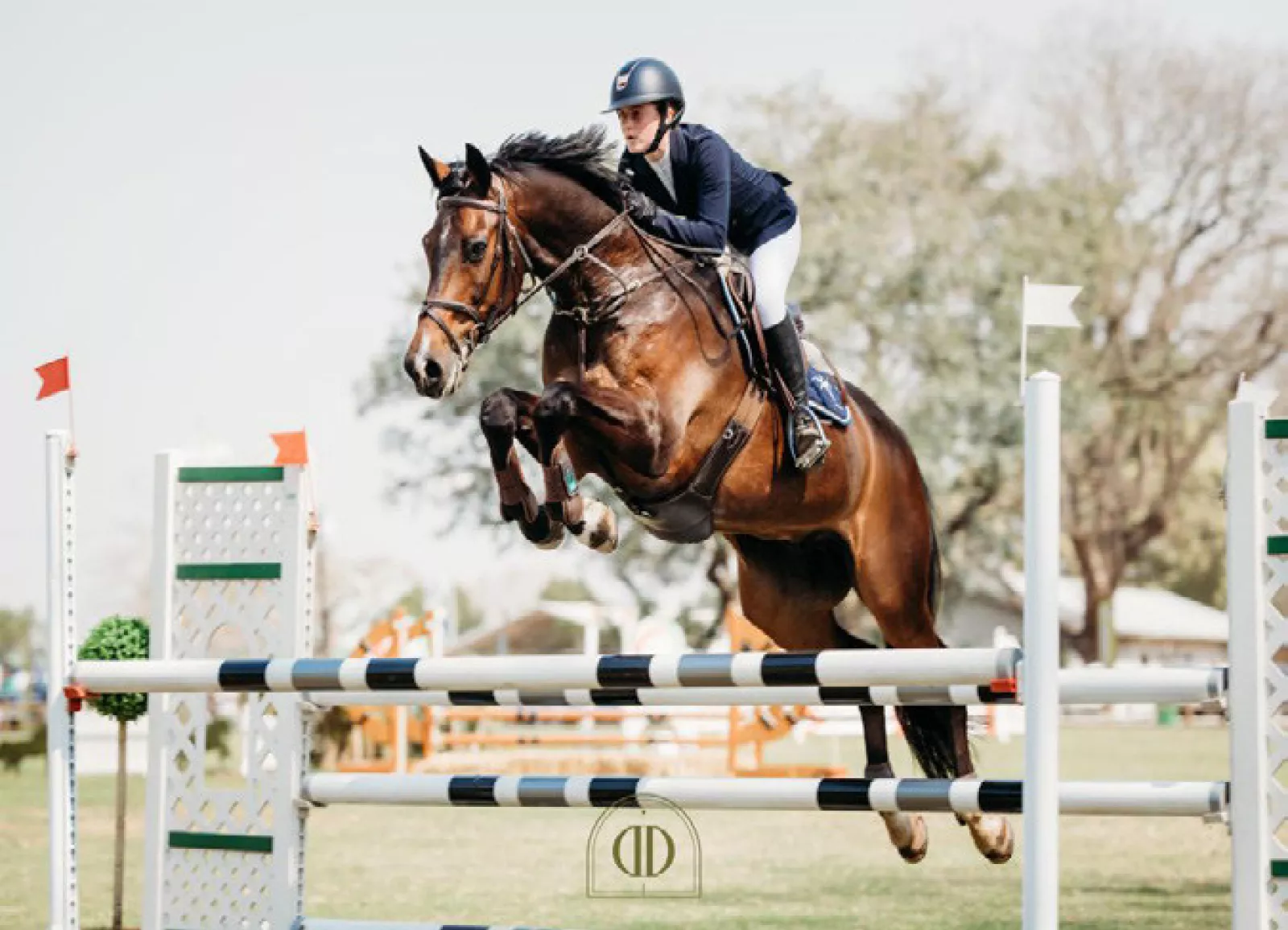 20 October equestrian 6