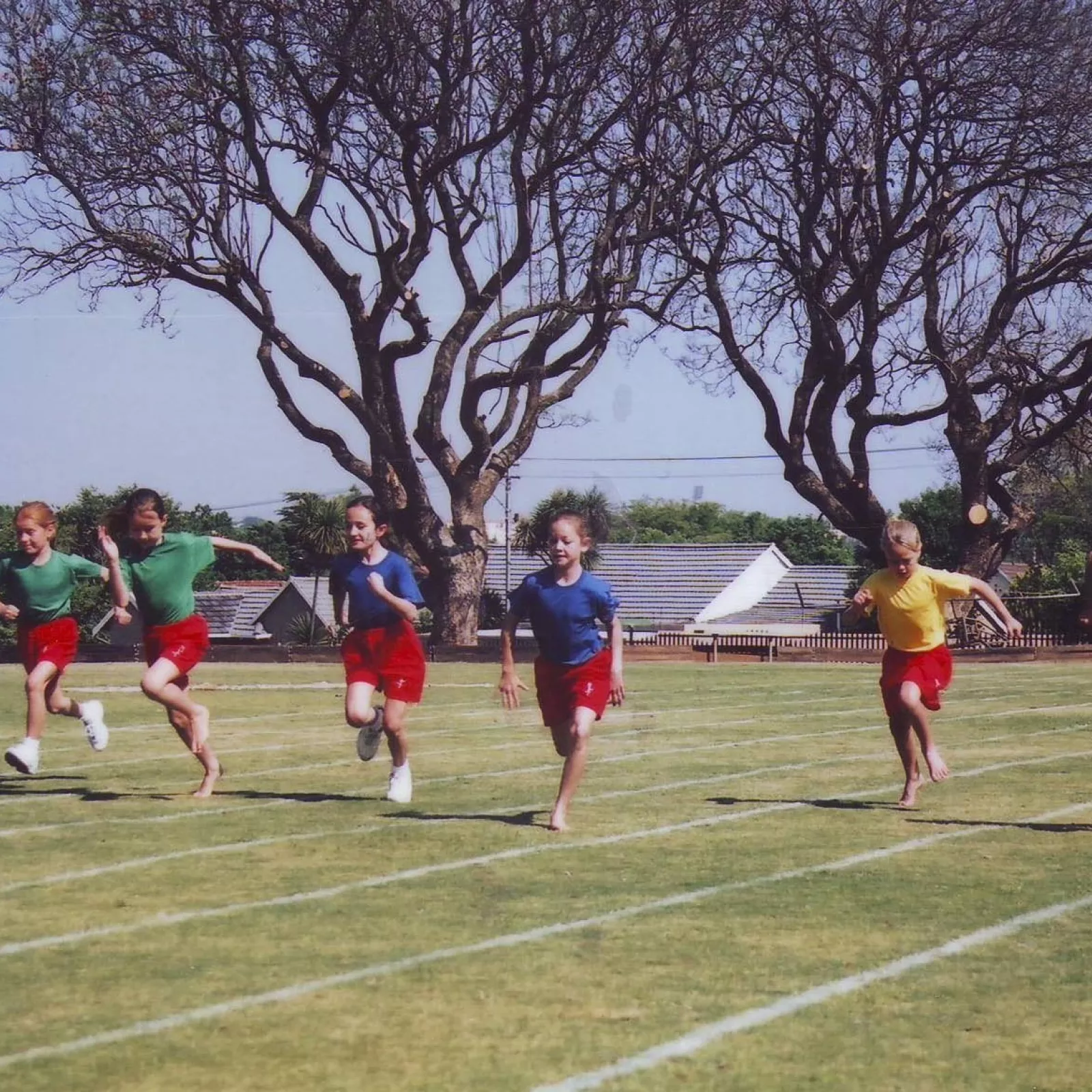 Junior school house competitions