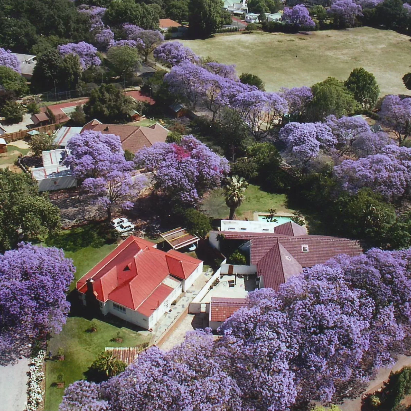 Burn house behind smogs