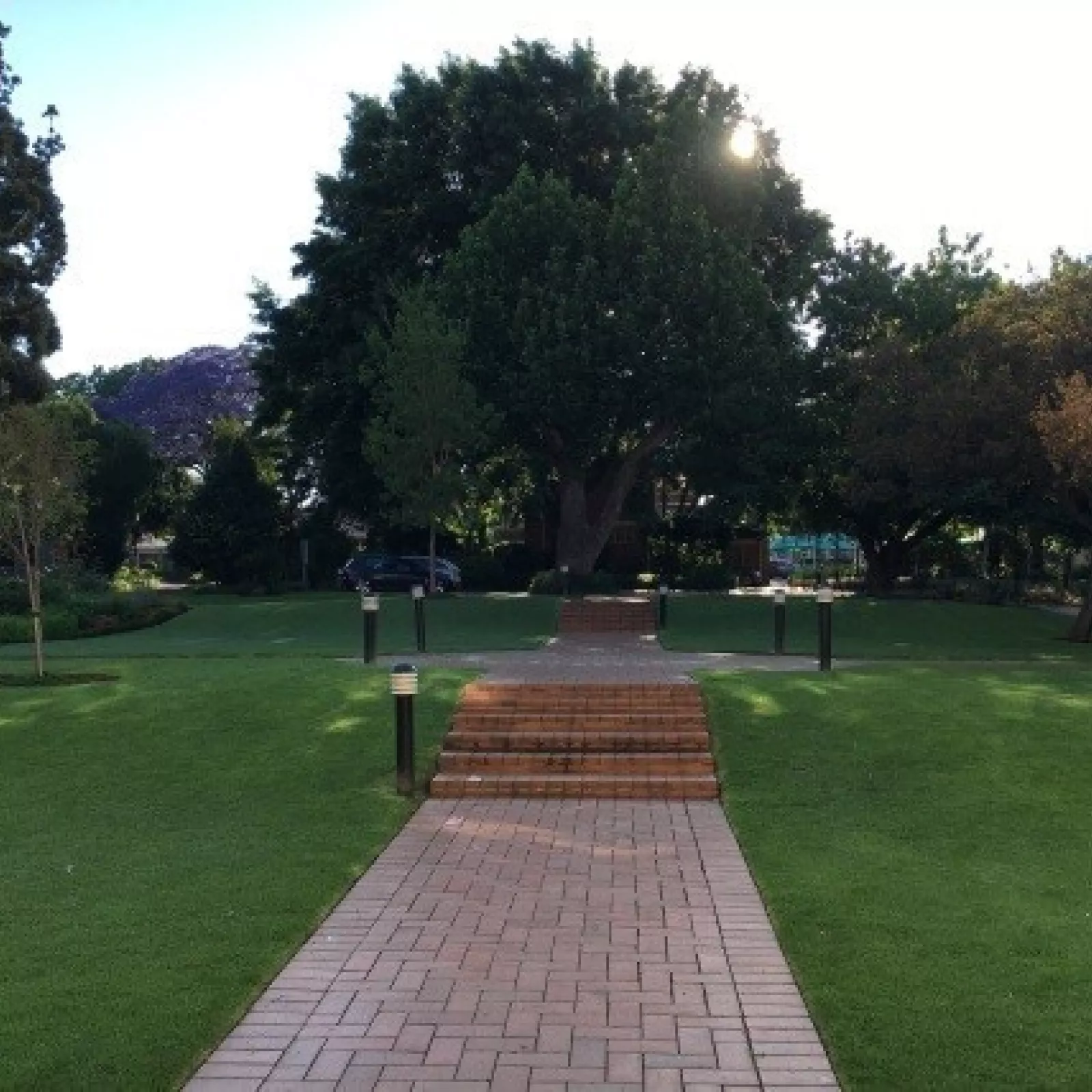 The path from the angel door leading to diemont drive