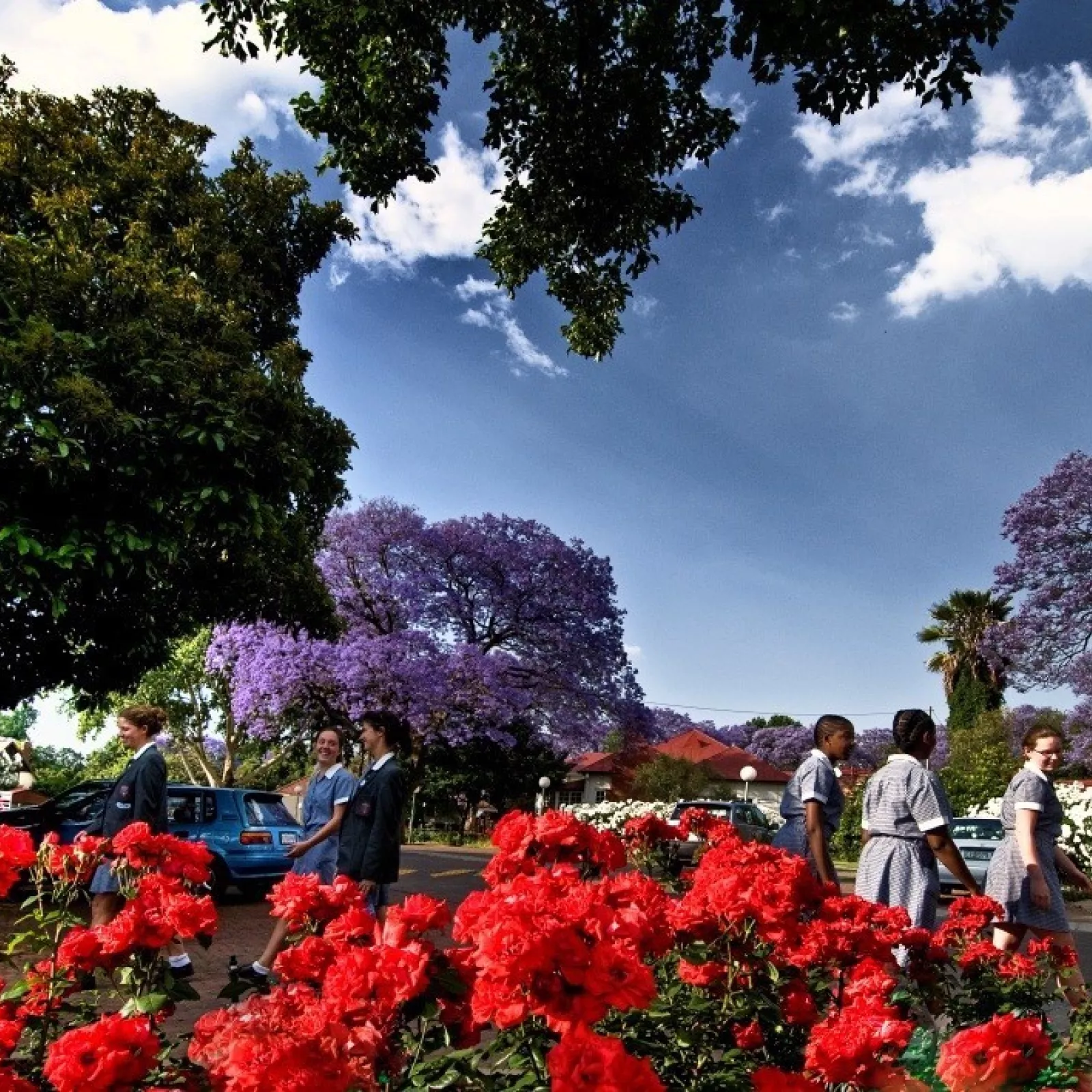 The drive and parking areas in 2012