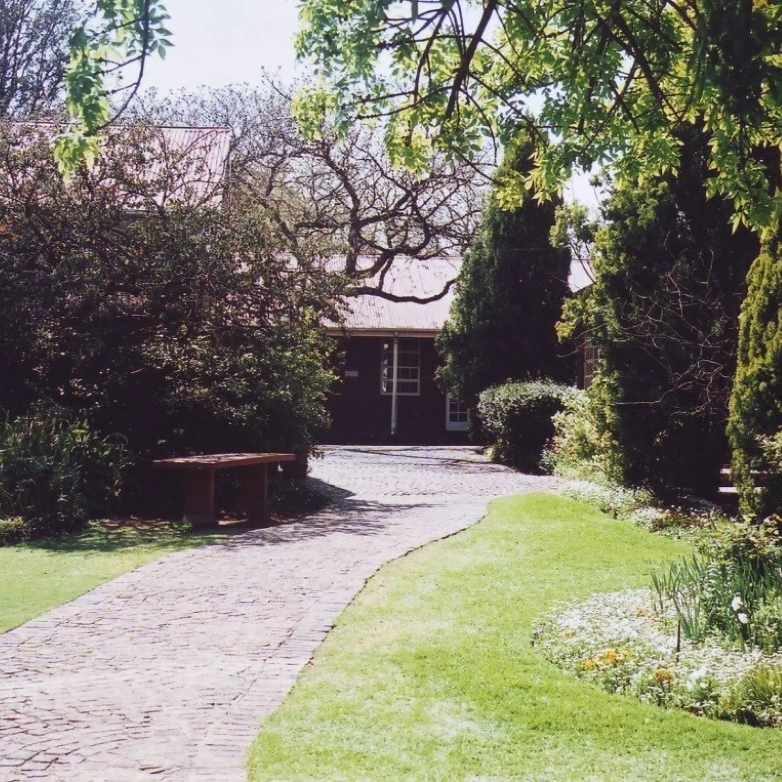 A path to the junior school