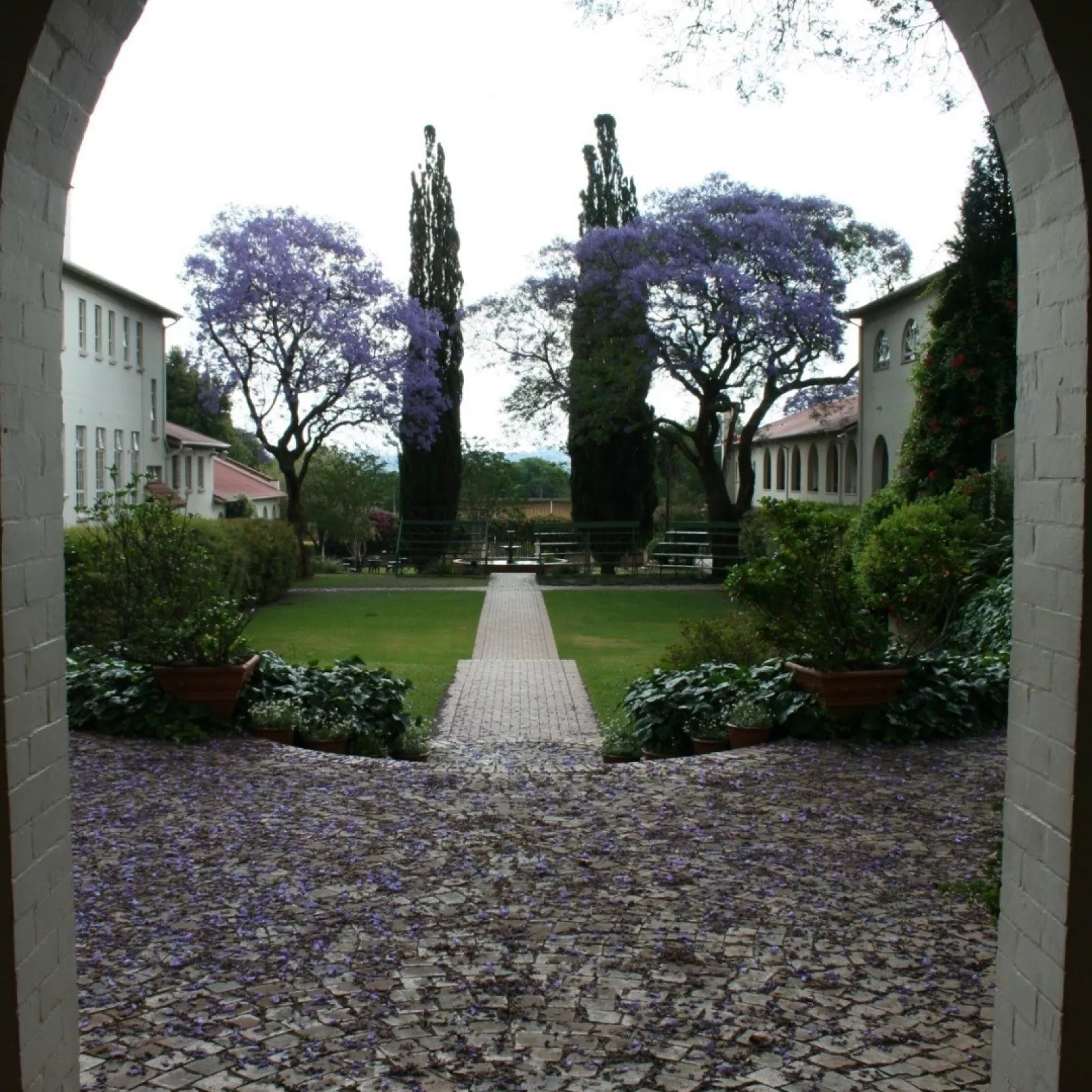 A neater path to the pool