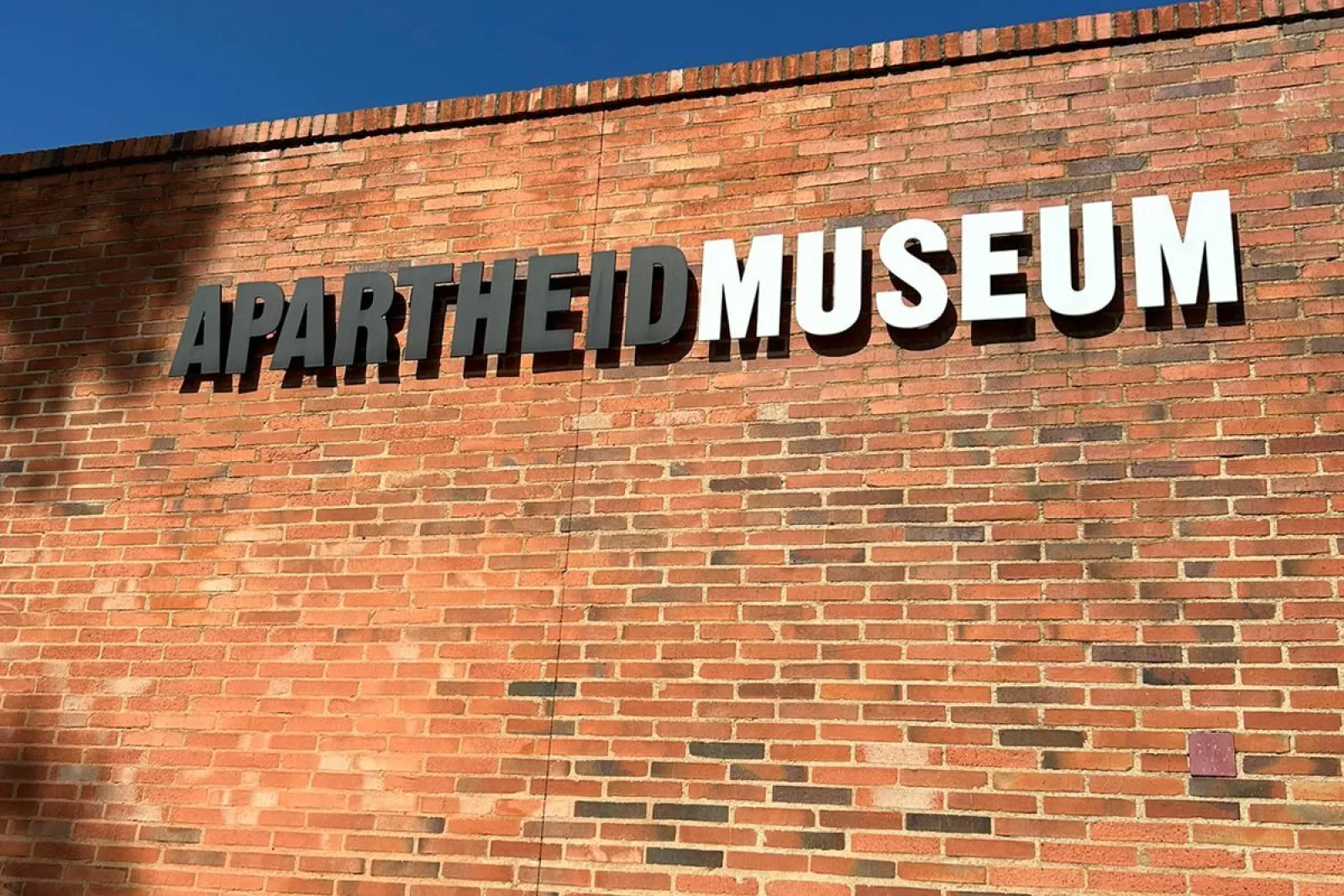 Whats App Image 2024 02 21 at 08 30 36