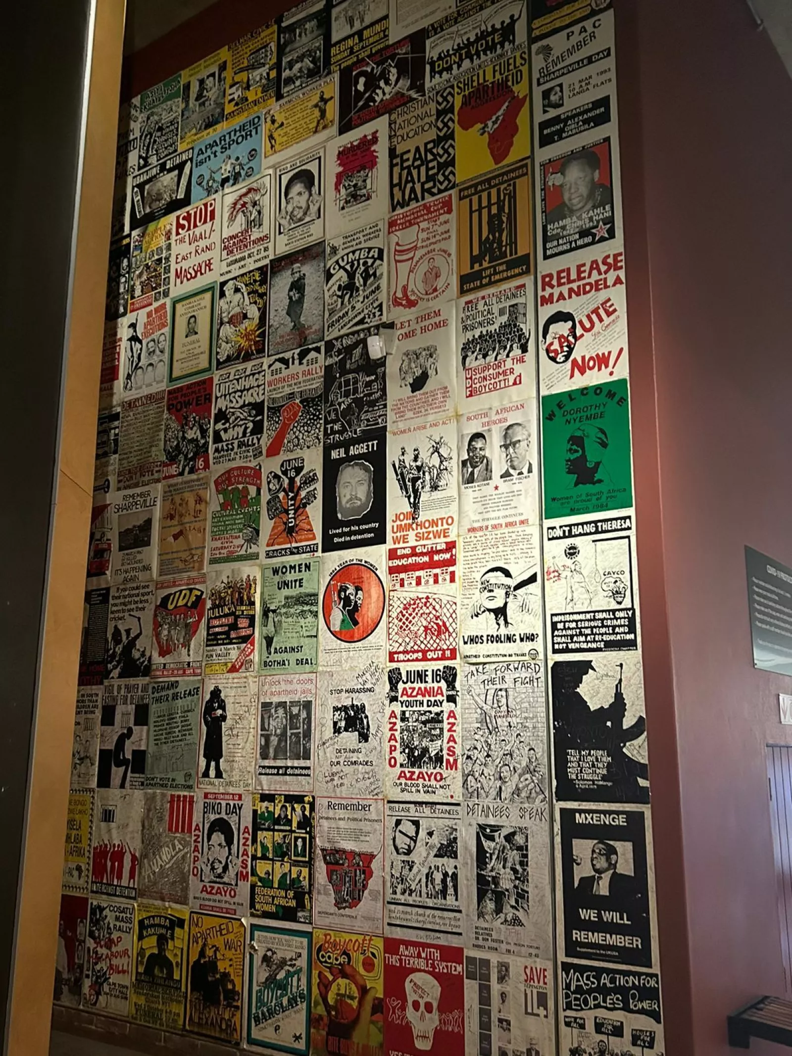 Whats App Image 2024 02 21 at 08 30 42