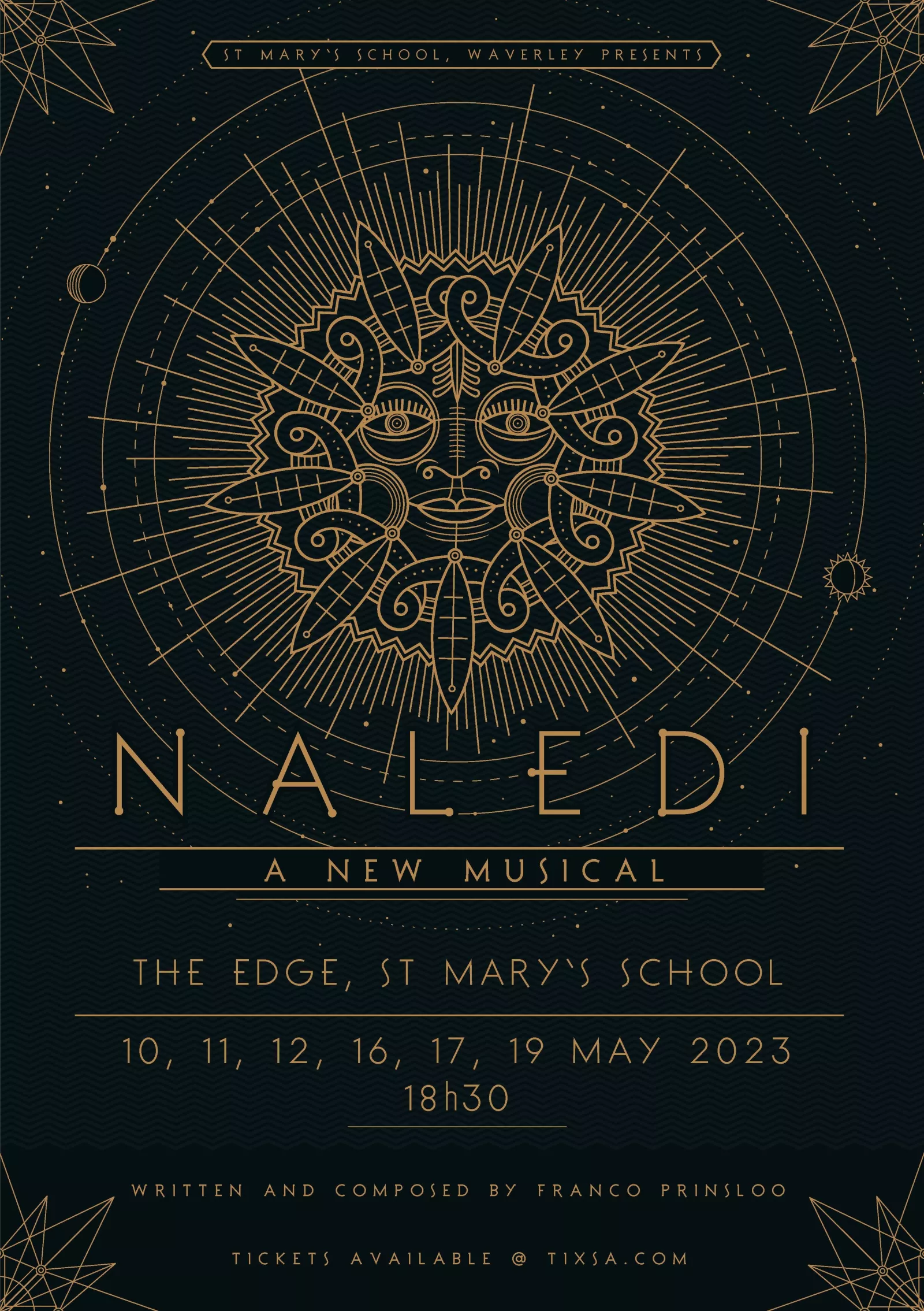 NALEDI poster color digital