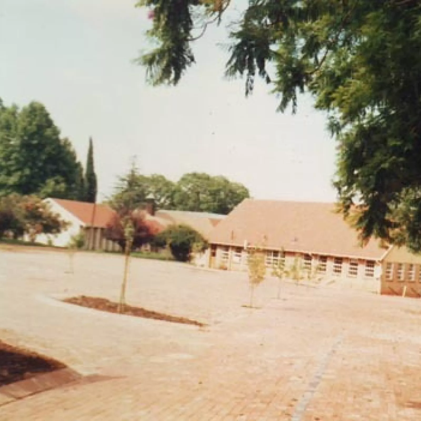 The paved parking Y another pta centenary gift