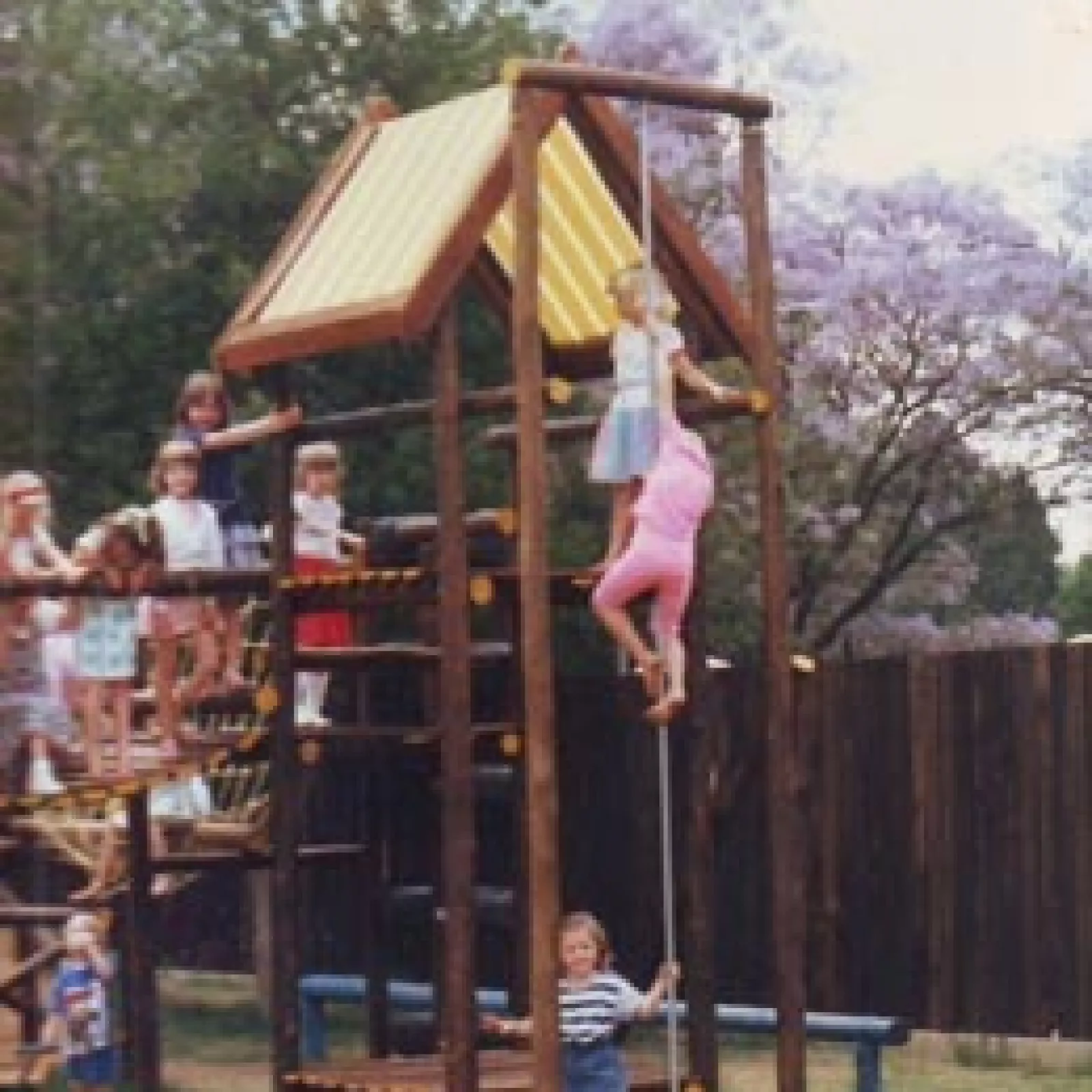 A jungle gym for the little ones