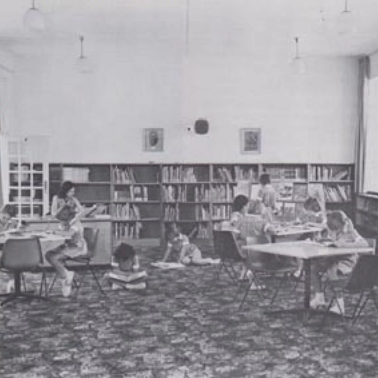 The new library in the junior school