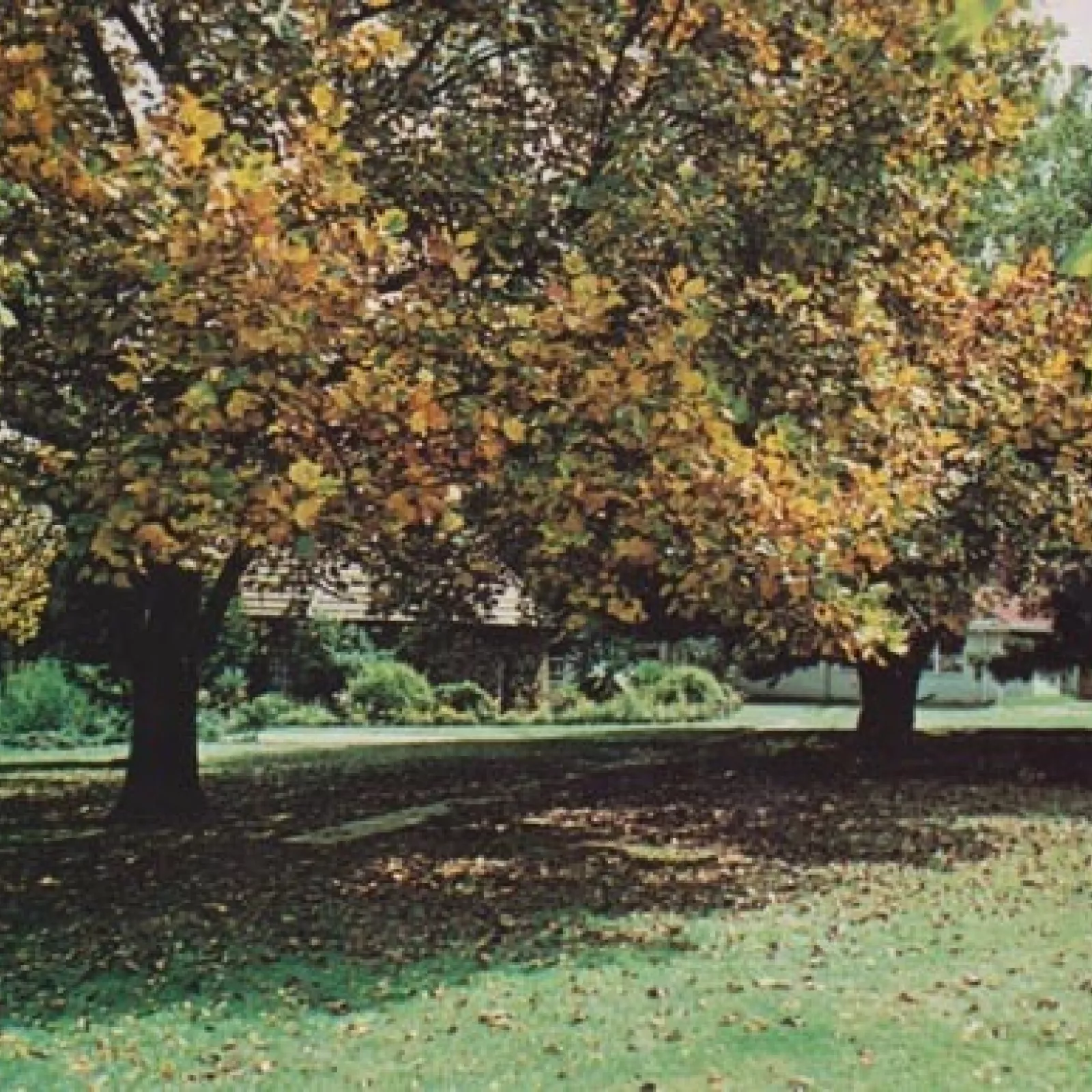 Looking towards the chapel