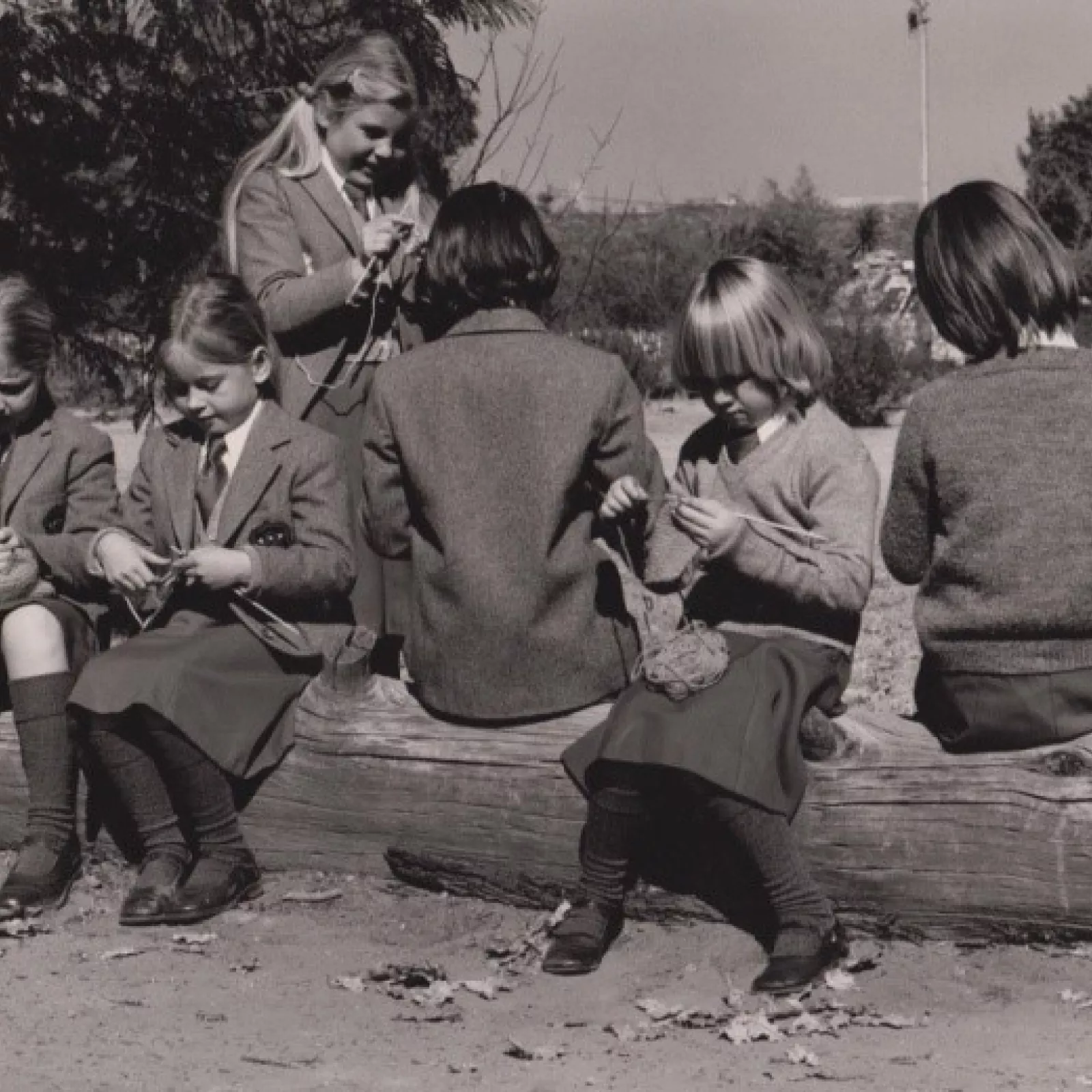 Peace in the junior school