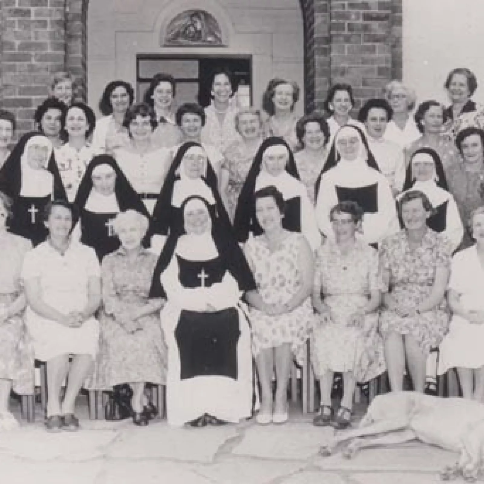 Ophelia the great dane and the staff