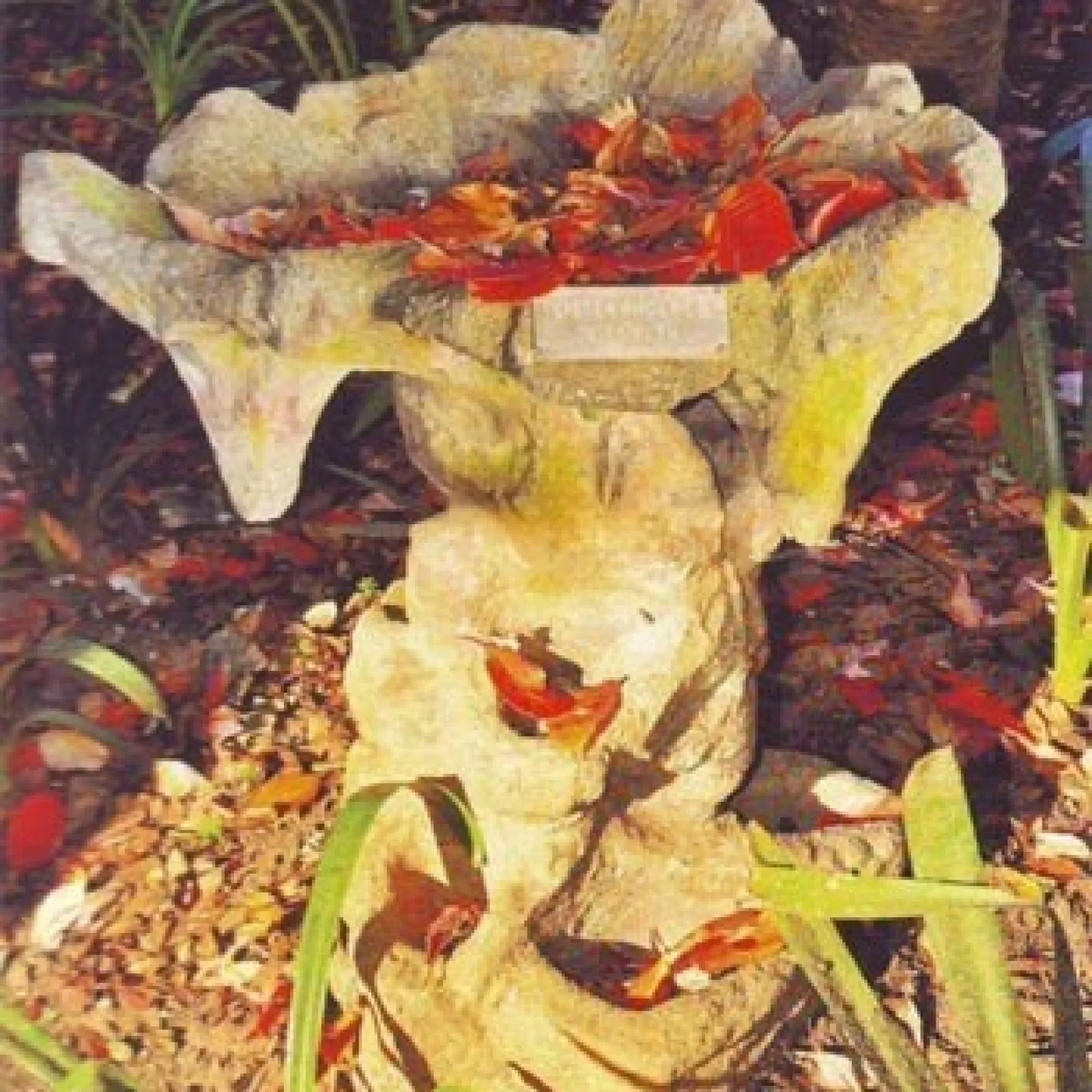 Sister phoebe Ys bird bath