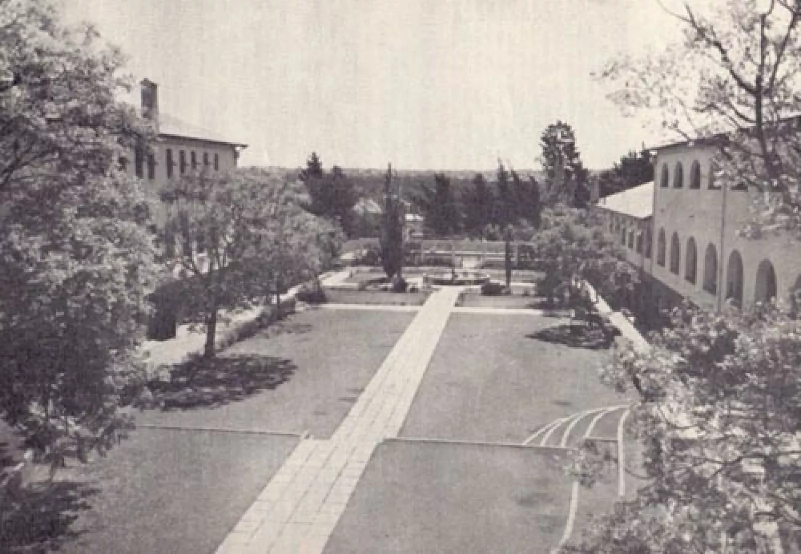 The queen Ys pond then the swimming pool at the far end of the queen Ys path