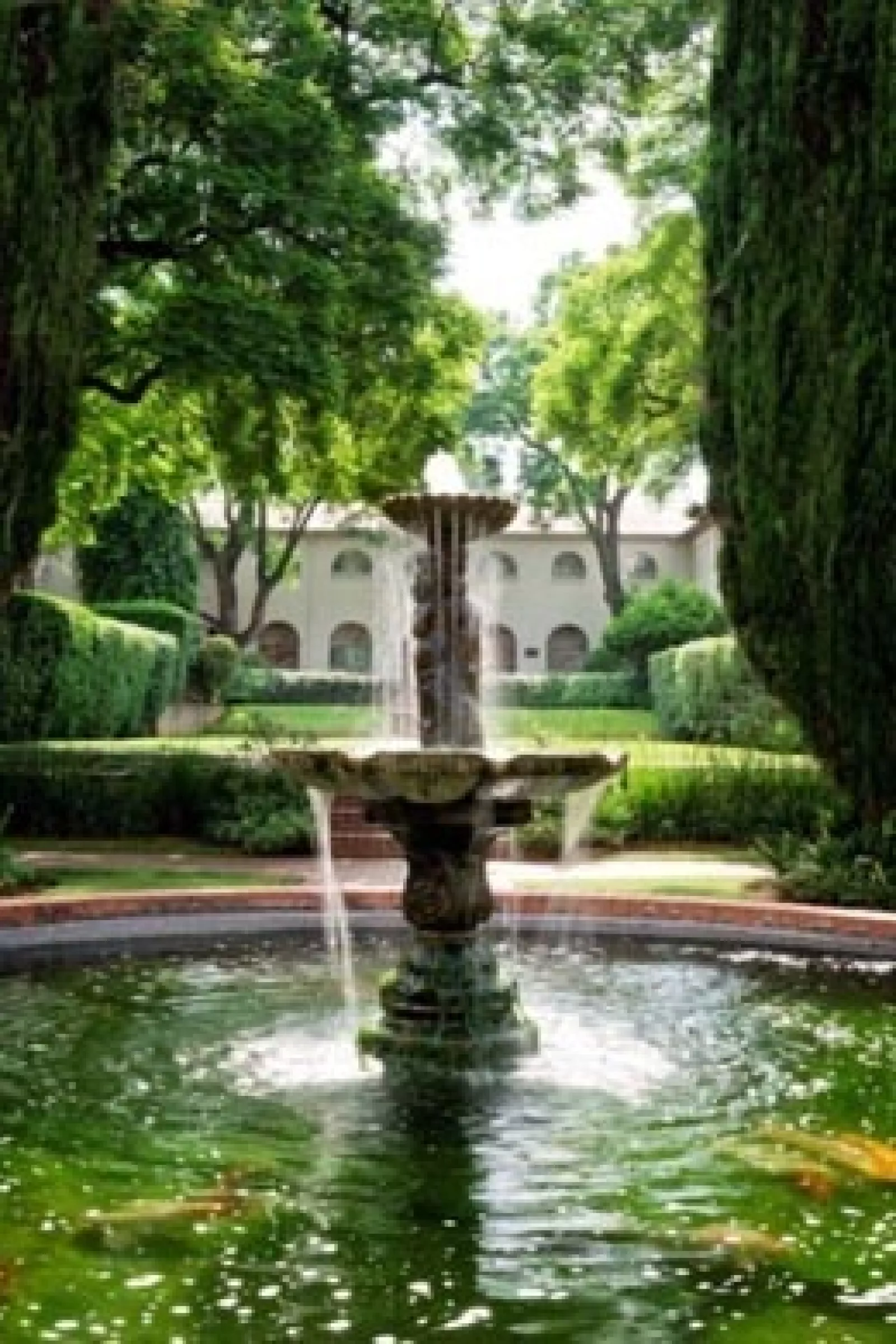 The queen Ys pond in 2008