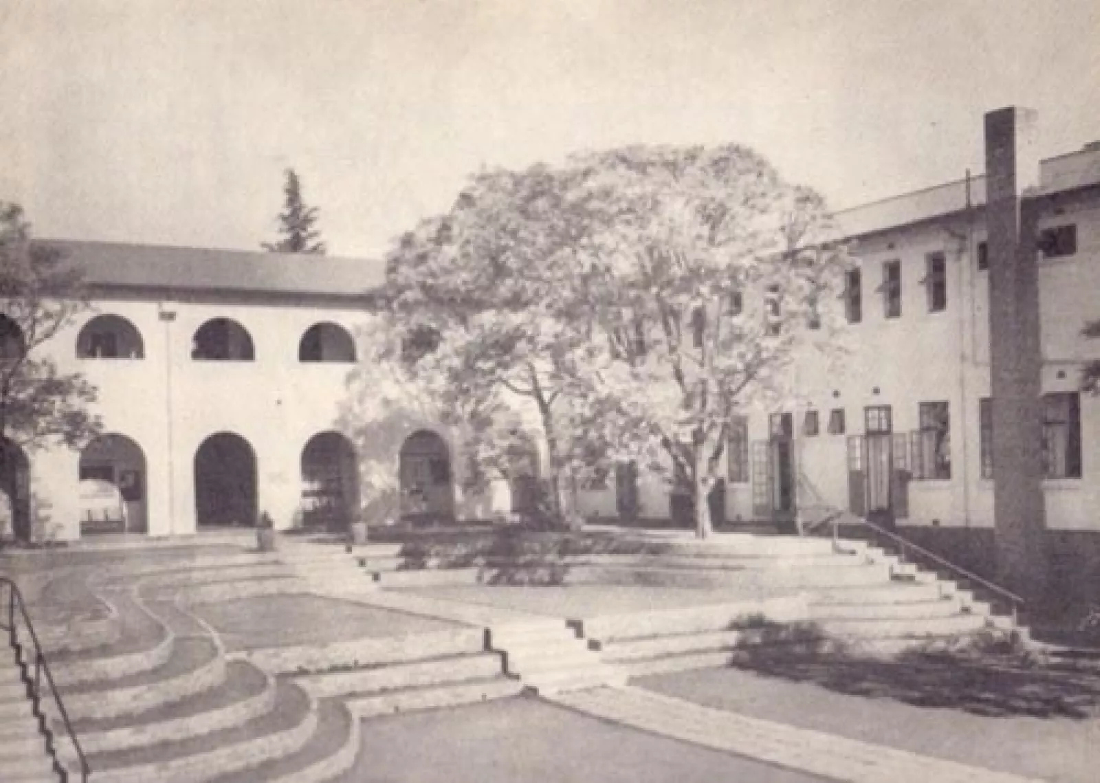 The queen Ys path gives the close symmetry