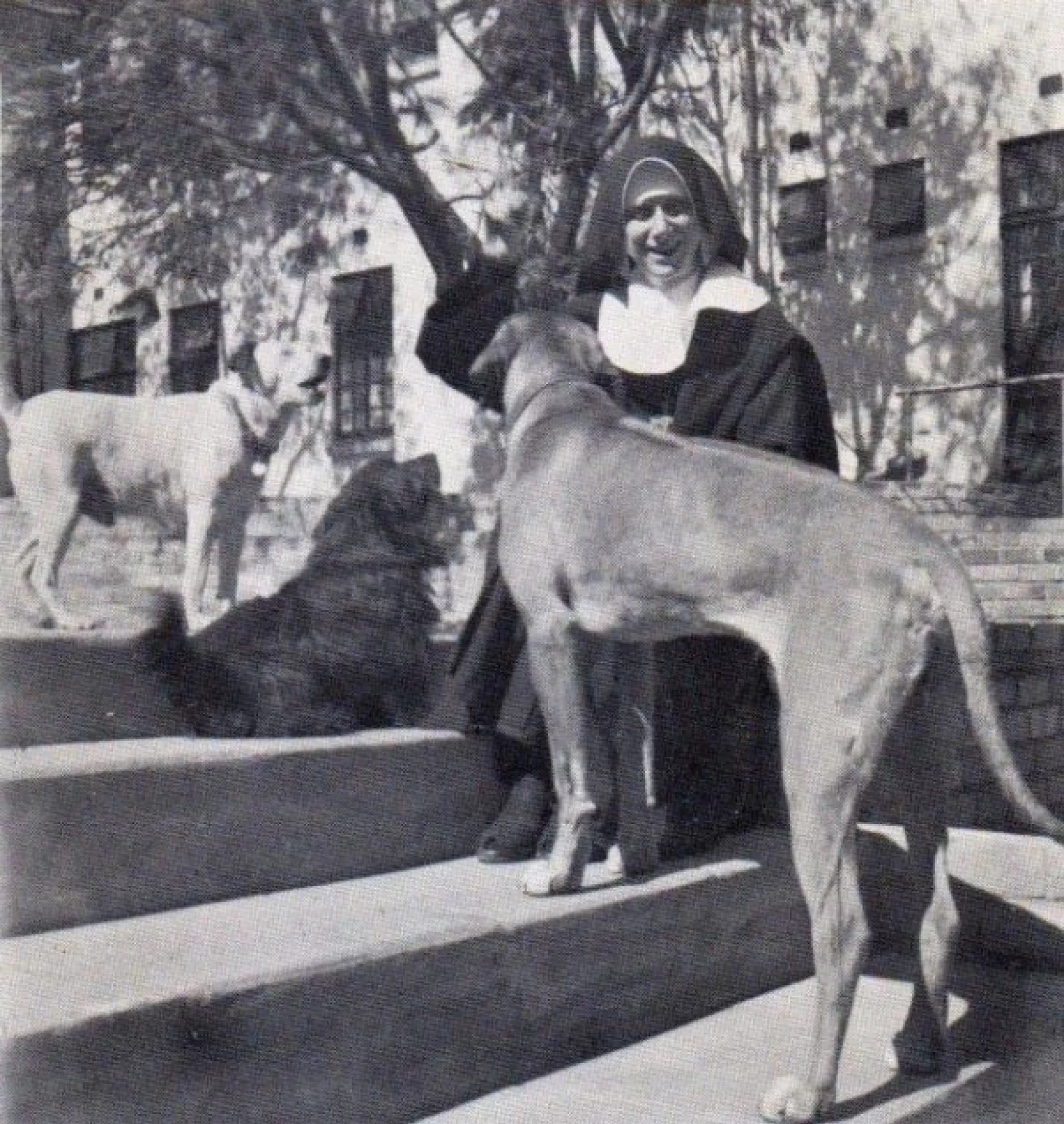 Sister janet with gobbo robbie and dominic