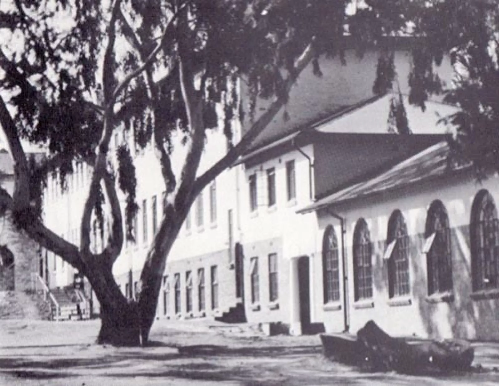 The dining room and kitchen