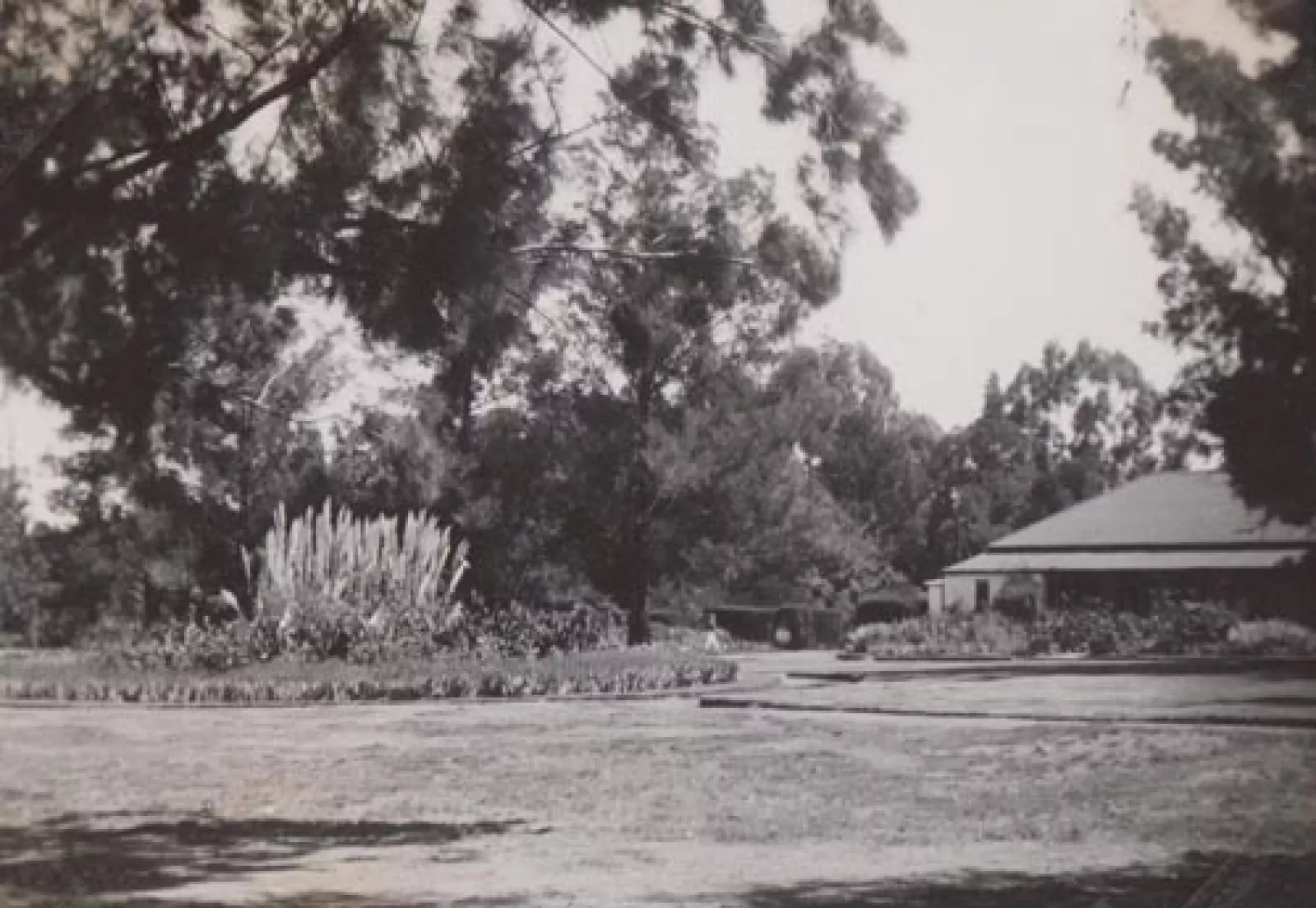 The wood and iron house used by the teachers