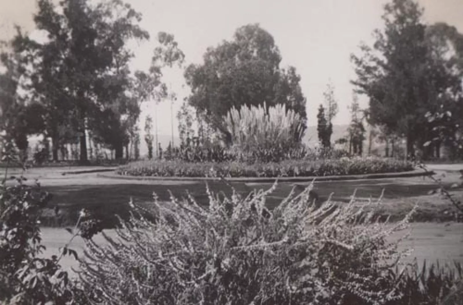 The circular driveway