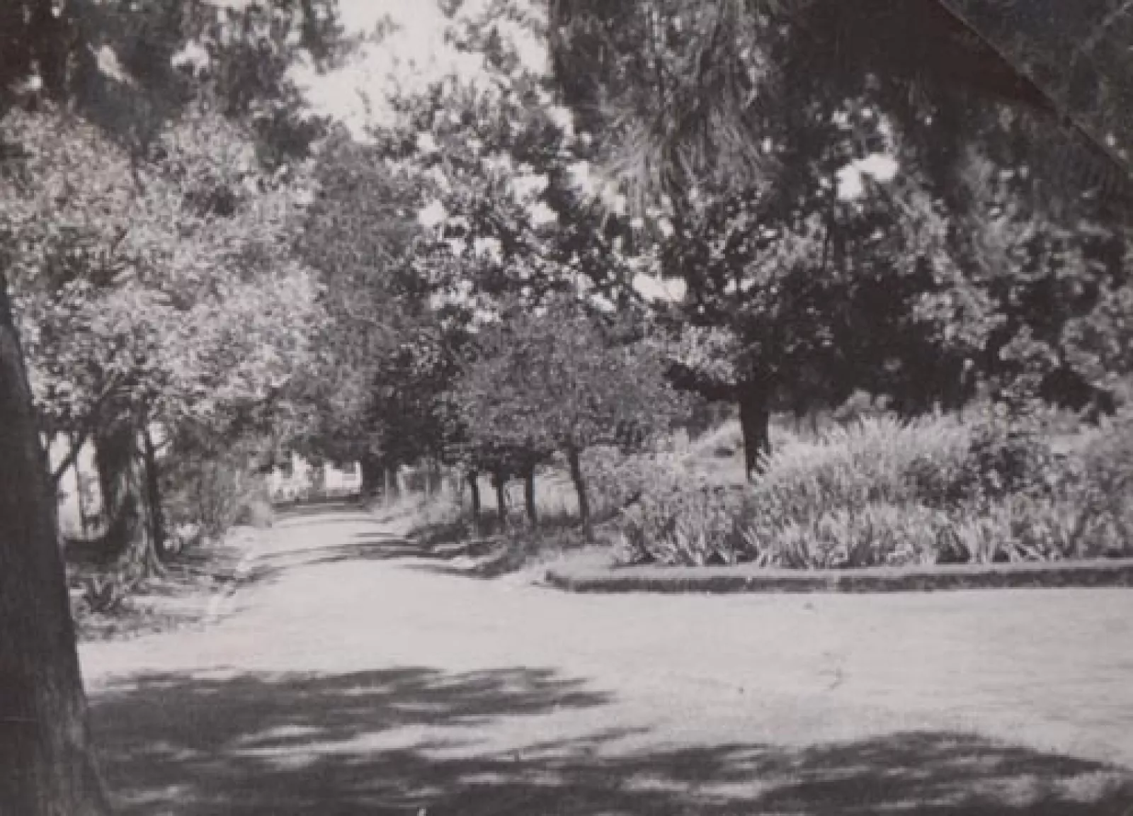 A road to the outside world of waverley