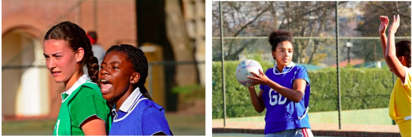 Screen Shot 2019 07 30 at 12 10 48 PM