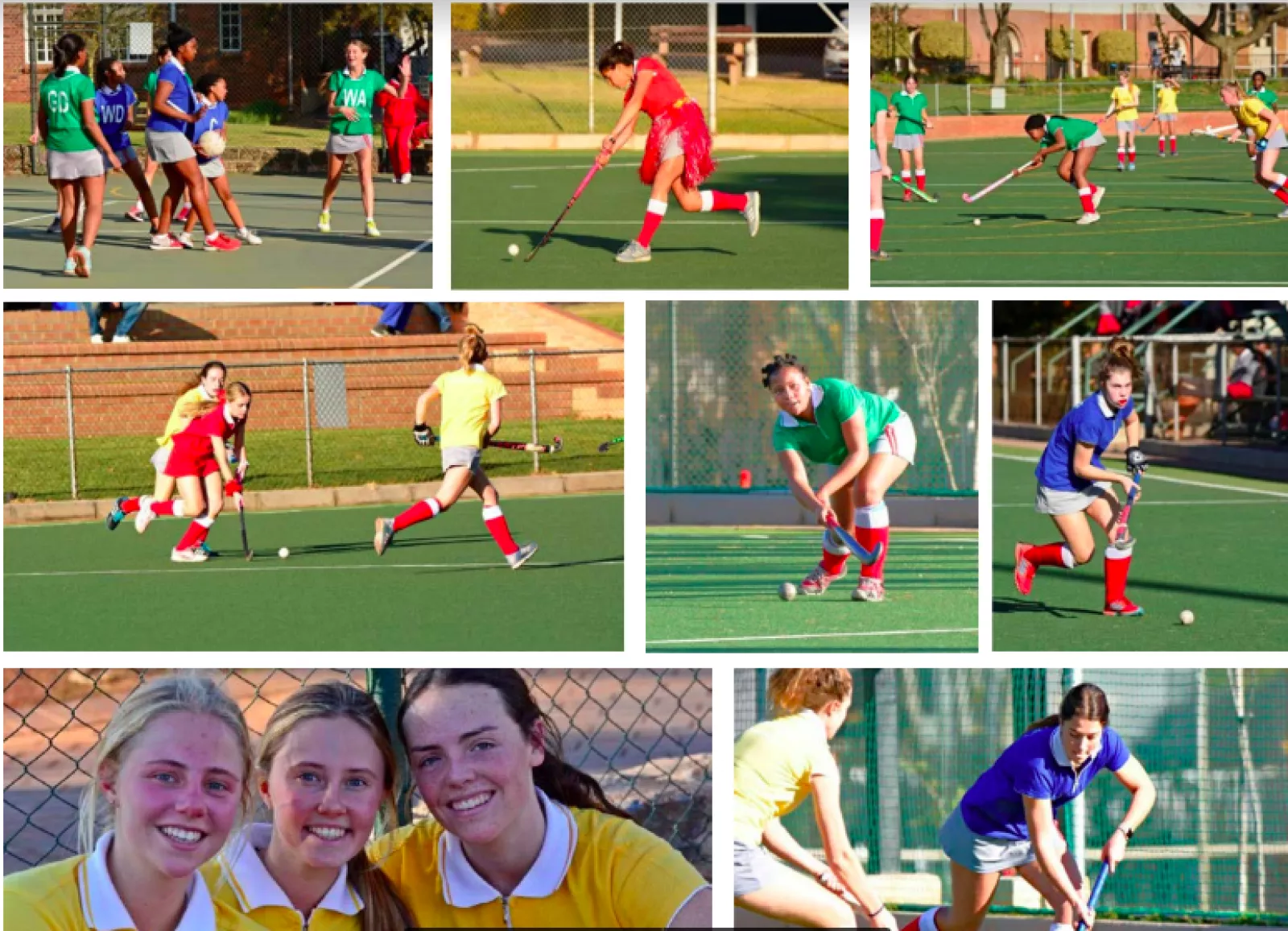 Screen Shot 2019 07 30 at 11 54 38 AM