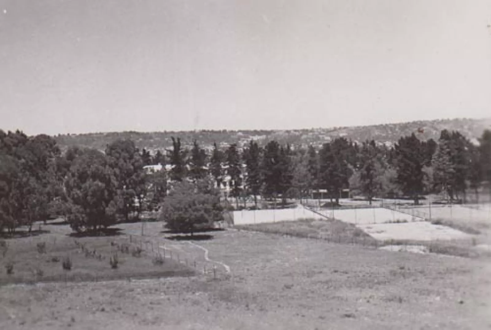 Rosebank beyond the tennis courts