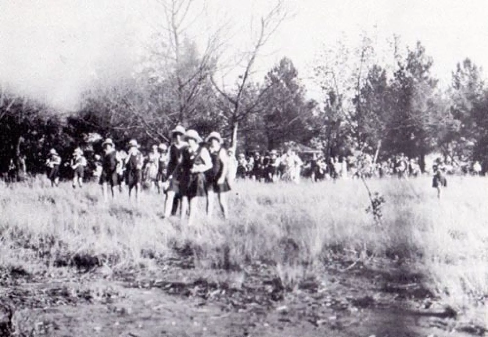 A ramble in the school grounds
