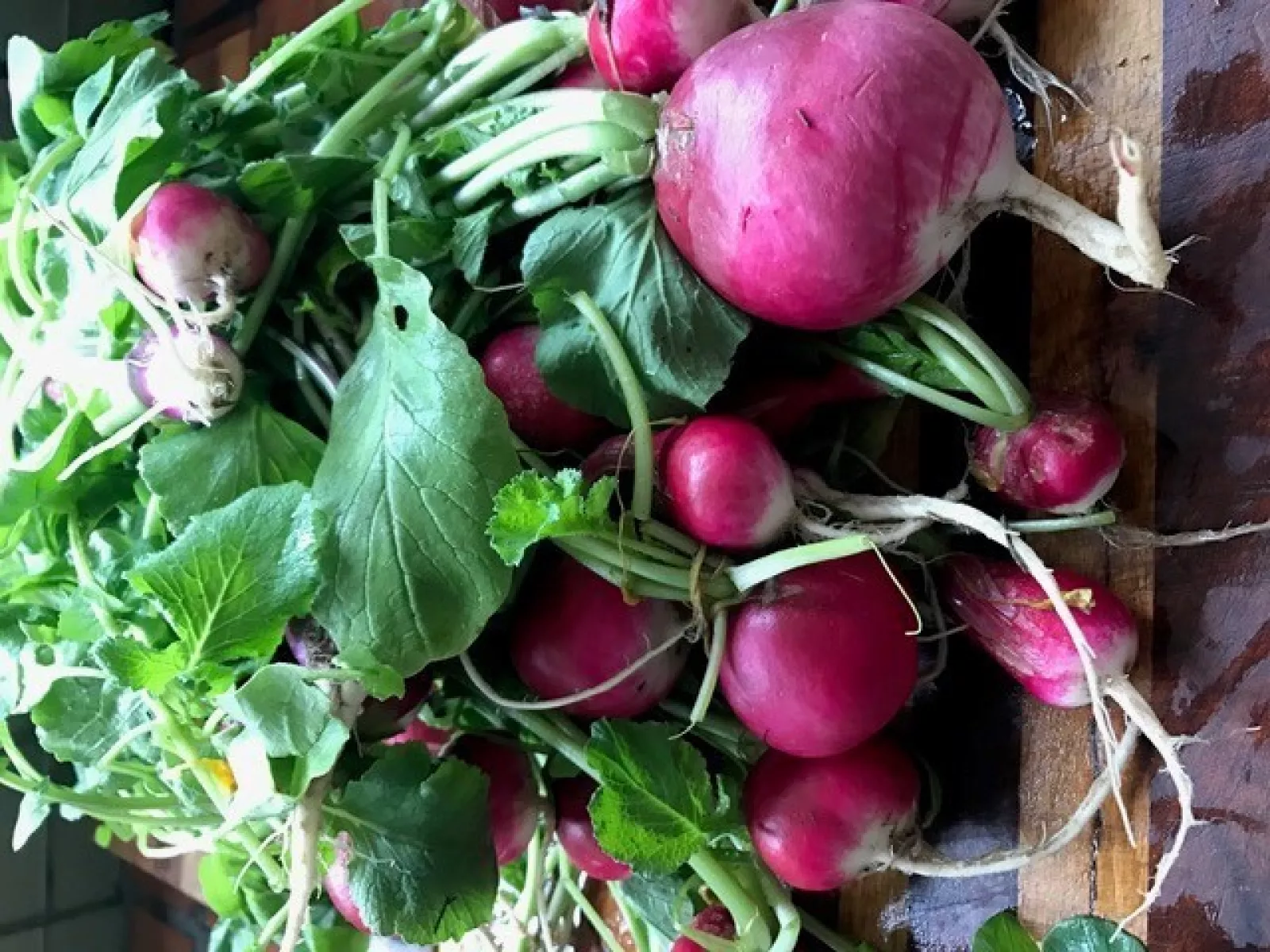 Radishes