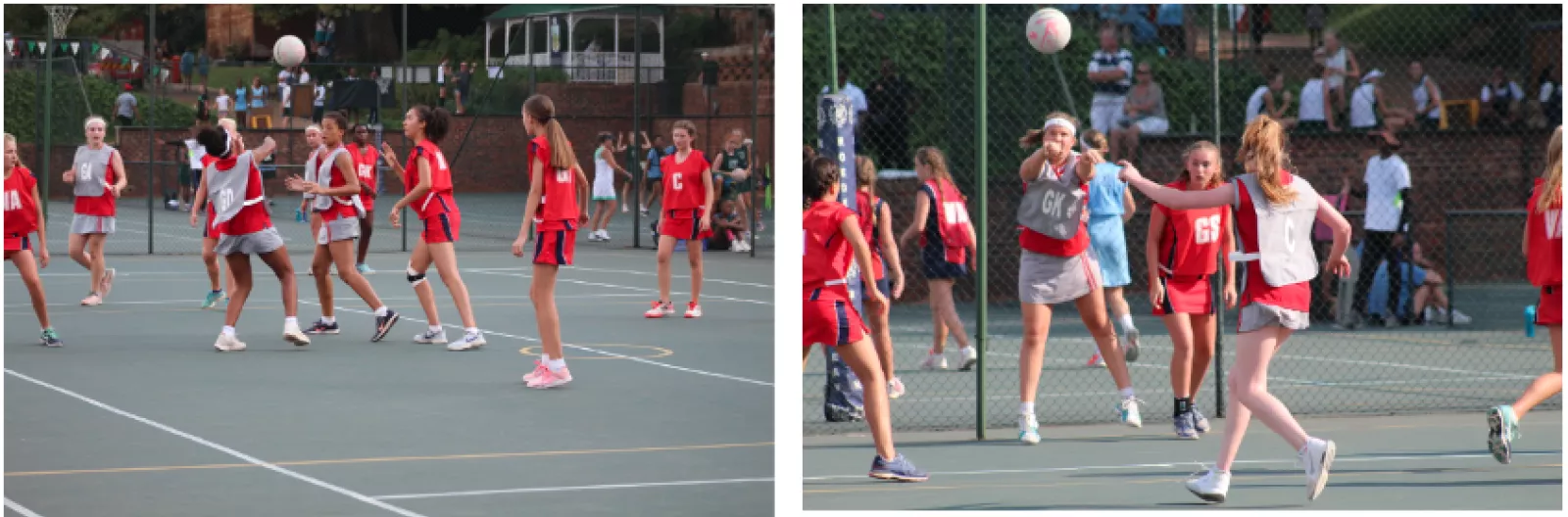 Screen Shot 2019 04 11 at 3 19 36 PM