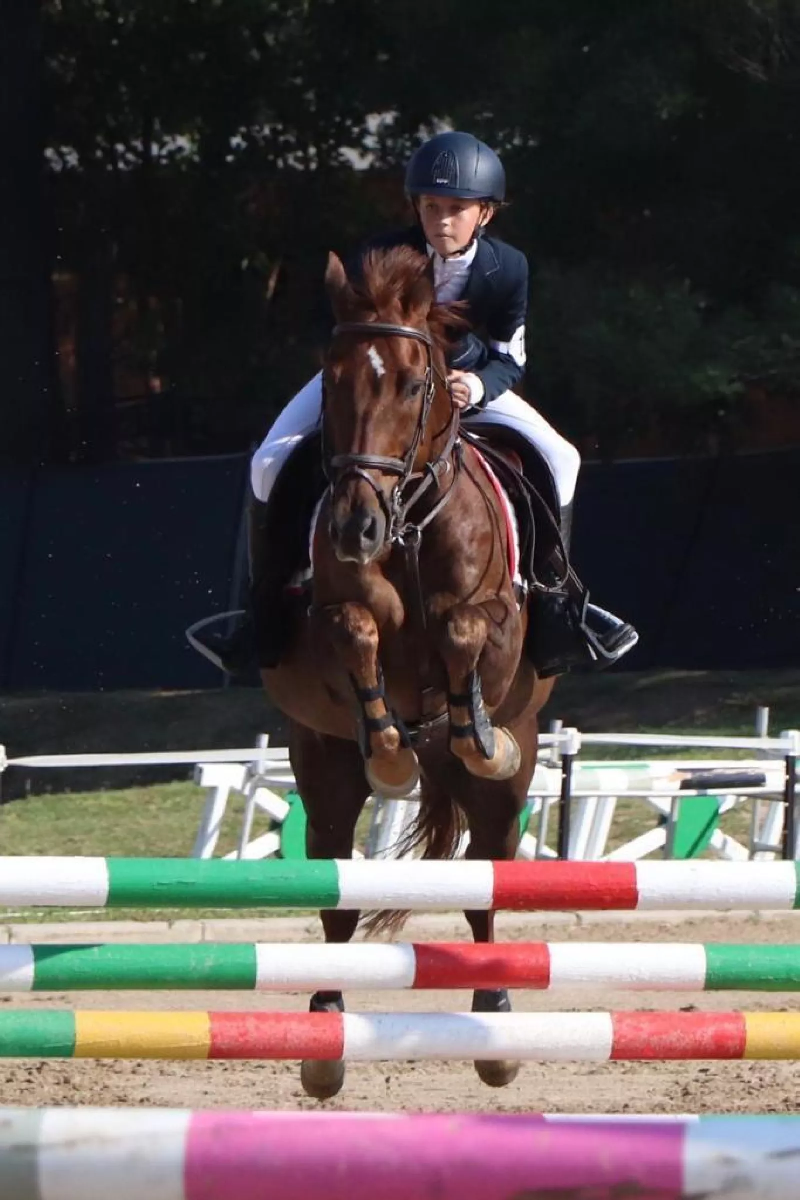 Katherine Franck on Bodenhausen la Chocoletier