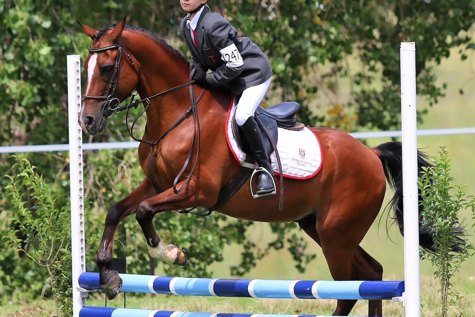 Riley Bate Q1 Equitation