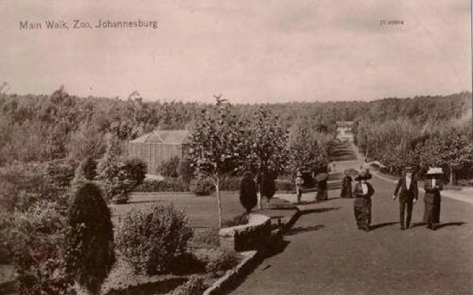 The johannesburg zoo where school children celebrate the end of the war