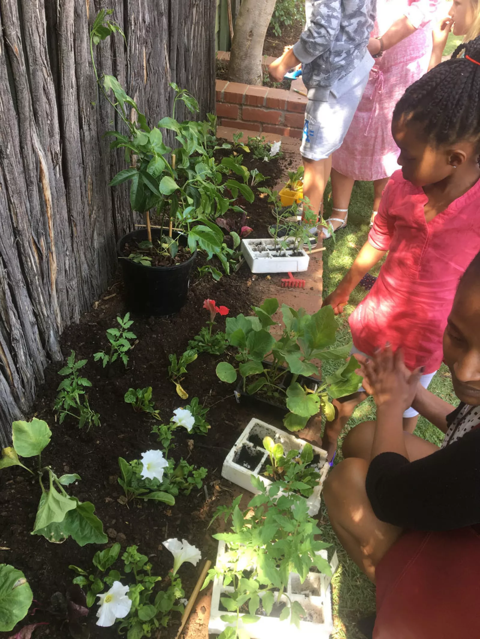 2018 LS Special persons 5