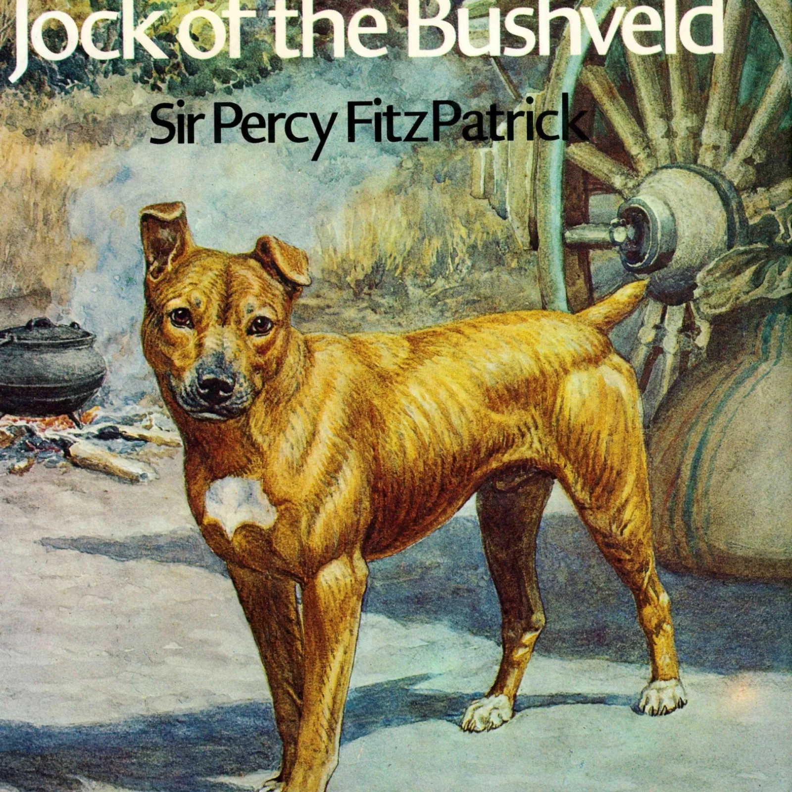 Jock of the bushveld