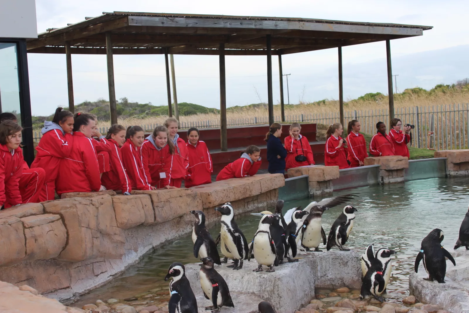 2018 JS Grahamstown 3