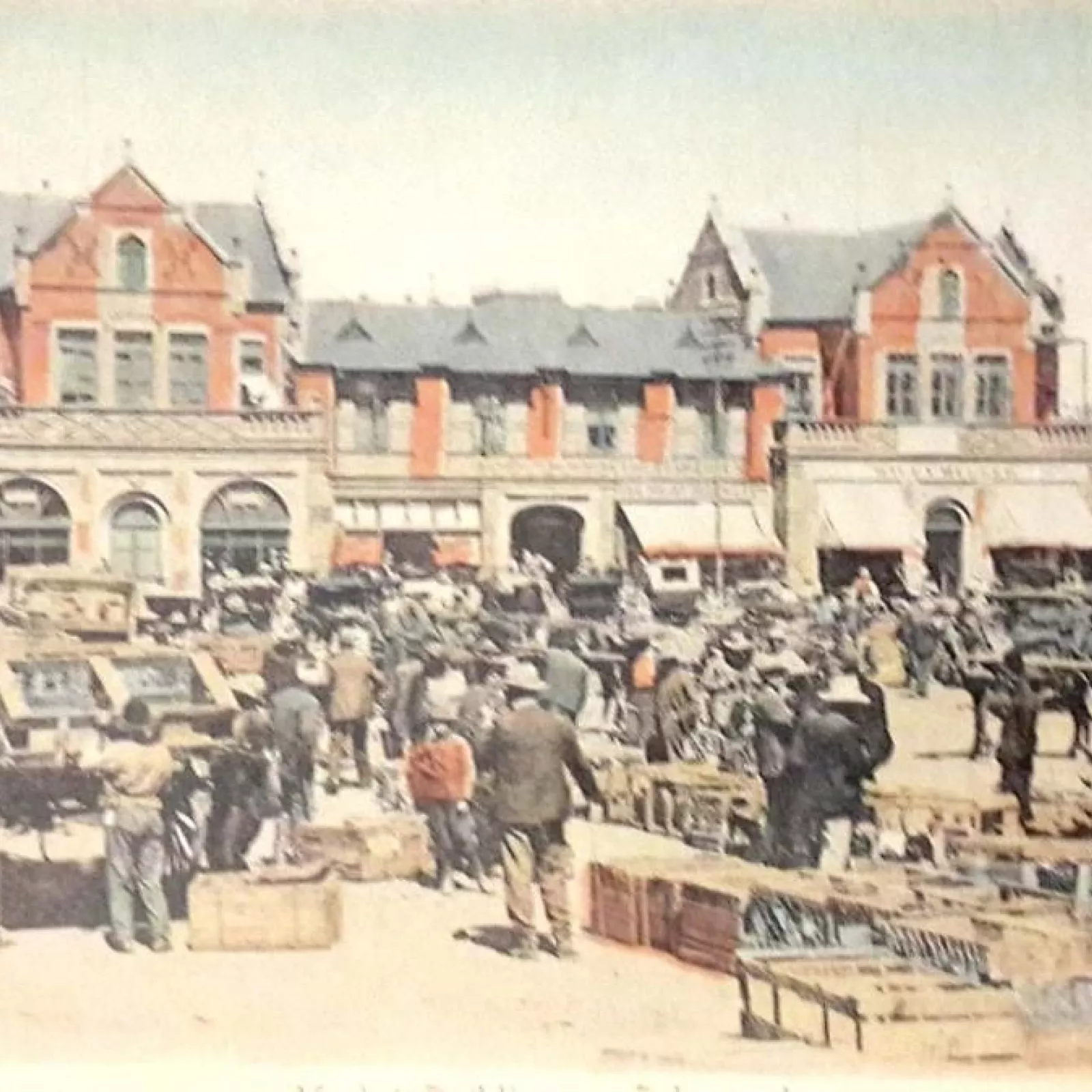 The johannesburg market